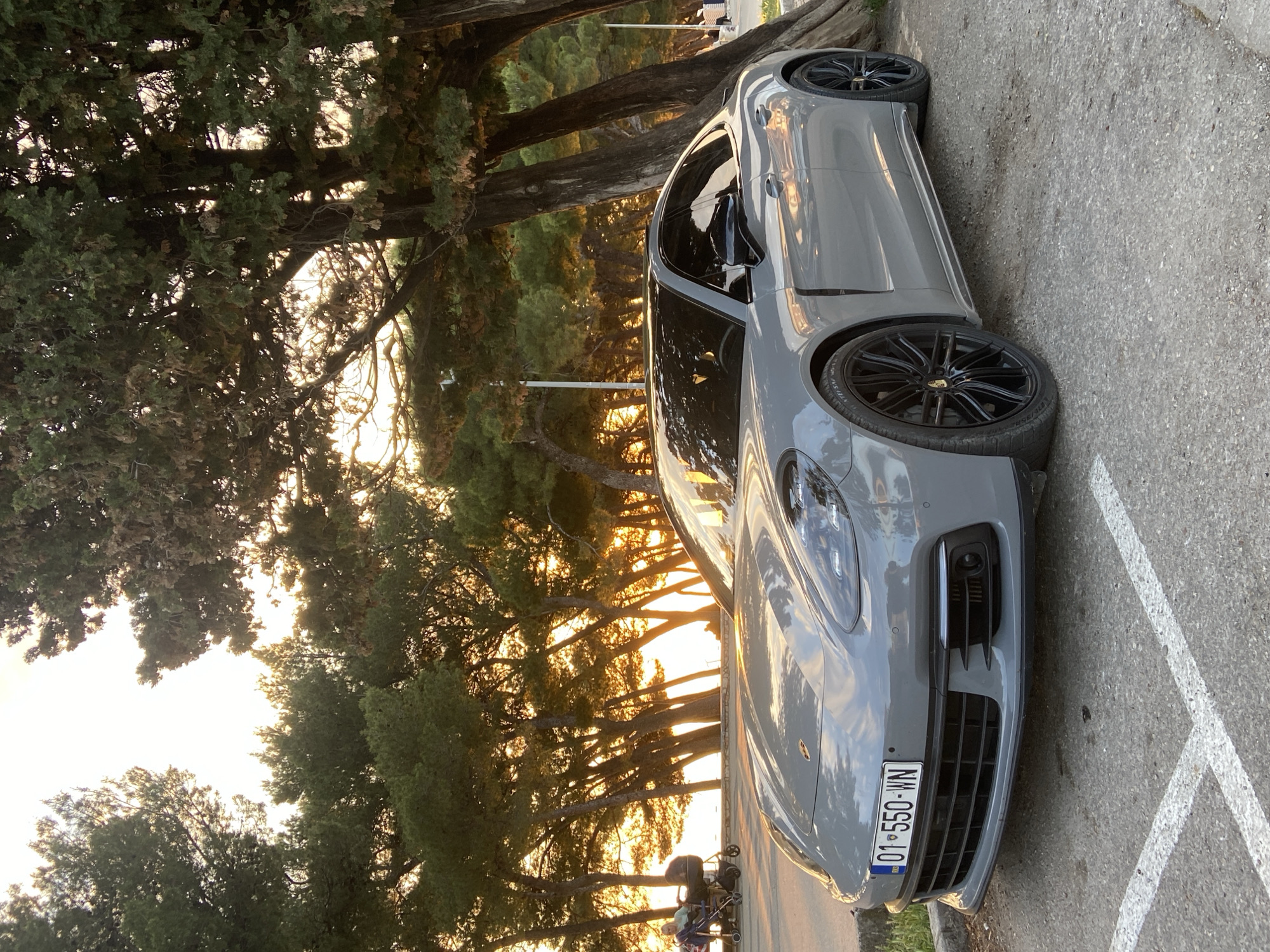A gray Porsche Panamera is the central subject of the image, parked outdoors with its front and side visible, angled towards the viewer. The car features black multi-spoke wheels.
The scene is an outdoor parking area or street, heavily lined with tall, dense coniferous trees, possibly pines or cypress, which dominate the background and partially obscure the sky. The ground is asphalt, marked with white parking lines. The lighting suggests late afternoon or early evening, often called the golden hour, with warm sunlight filtering through the tree canopy, creating bright highlights and deep shadows.
In the distant background, beneath the trees and bathed in the golden light, very indistinct figures can be seen, one appearing to push a stroller or a child's mobility aid.
Visible text includes the license plate on the front of the car, which reads "01-550-WN" with a blue country identifier strip on the left. The text "P ZERO" is faintly visible on the sidewall of the front right tire, indicating Pirelli P Zero tires. Based on the "01" plate prefix and the provided context, the location is Bar, Montenegro. The car is stationary, indicating it is parked.