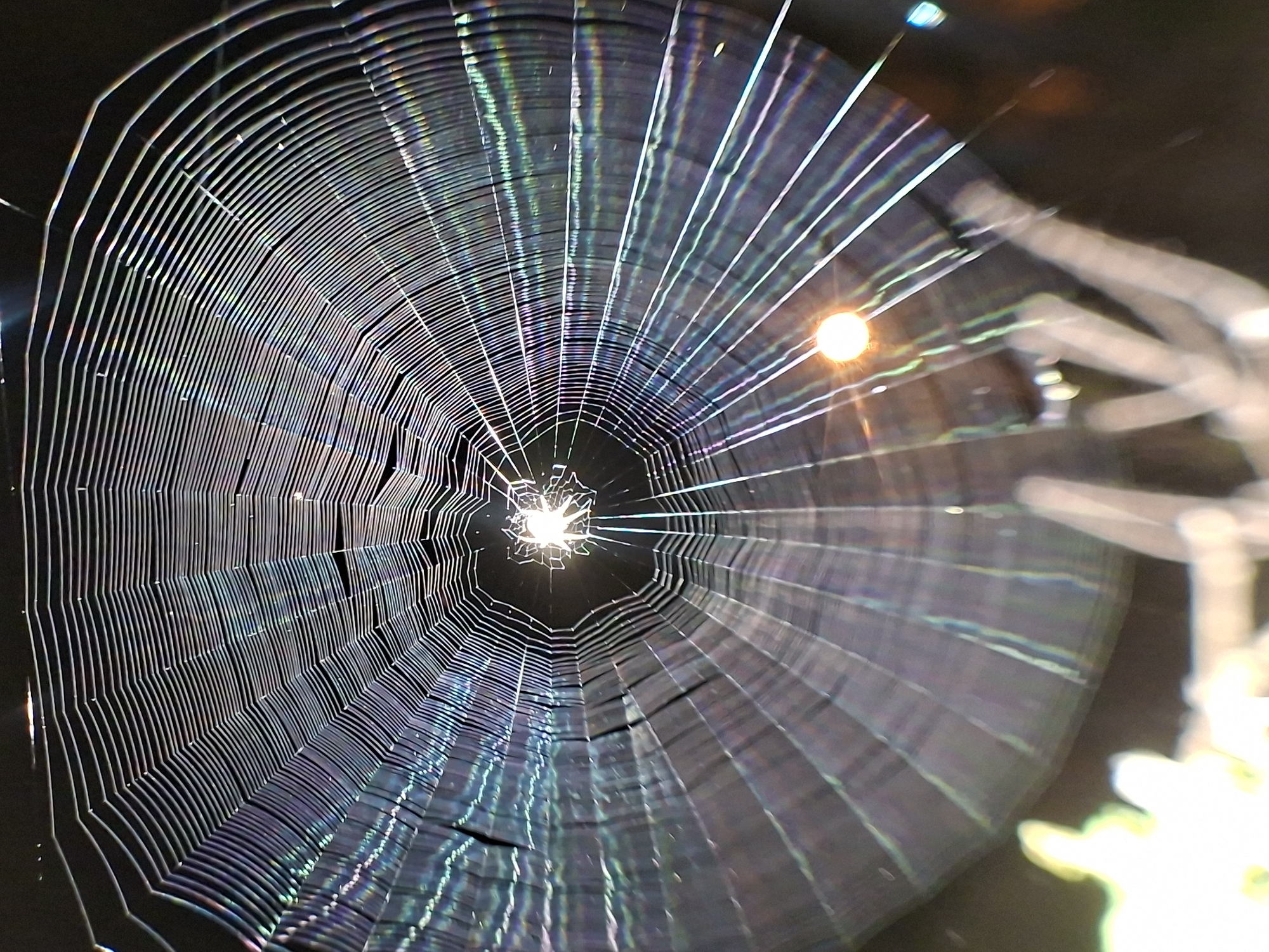 The image features a spiderweb illuminated by a bright light source, possibly a street lamp, in an urban setting. The web's intricate structure is prominent, showcasing radial strands and connecting spirals. Iridescence is visible across the web's surface, suggesting a thin film of moisture or atmospheric conditions. Part of a spider can be seen outside of the web on the right. The location is likely Lhokseumawe, Indonesia.