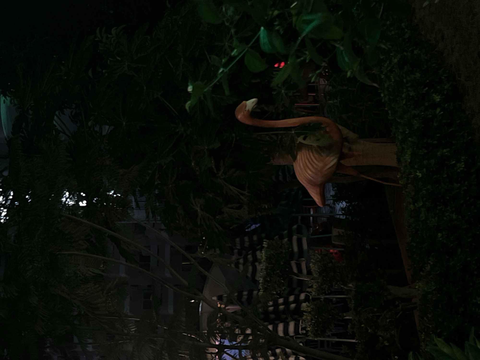 The image captures a dimly lit outdoor scene, likely in Alanya, Turkey, at night. The foreground is dominated by dense, dark green foliage. To the right of the frame, a large, stylized flamingo statue, rendered in a pale orange hue, stands prominently. The statue is positioned behind a thick hedge and appears to be made of a rigid material, possibly plastic or concrete. Its head is tilted downwards, and its long neck curves gracefully.
In the middle ground, several black and white striped umbrellas are visible, suggesting an outdoor seating area or a poolside location. These umbrellas are closed and stacked, indicating they are not in use. Behind the umbrellas, the faint outlines of buildings can be discerned, their windows appearing dark and unlit. The overall ambiance is one of a quiet, nighttime environment, possibly a resort or a hotel courtyard, with limited lighting creating a sense of depth and mystery. The lighting in the scene is minimal, with some artificial lights creating bright spots among the trees in the upper portion of the image.