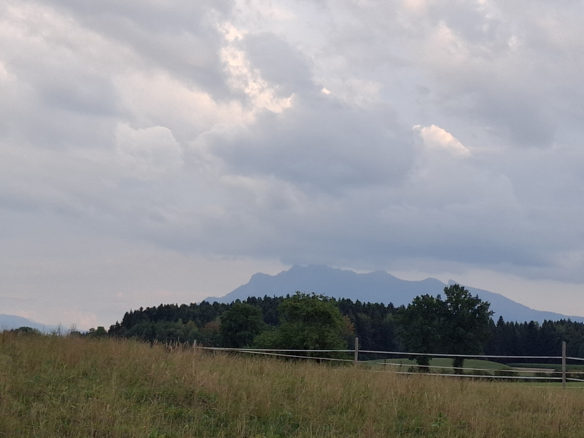 The image depicts a pastoral landscape in the vicinity of Hochdorf, Switzerland, under a cloudy sky. In the foreground, a grassy field with dry, tall grass extends towards a wooden fence. Beyond the field, a dense line of dark green trees forms a forest. In the background, a range of silhouetted mountains is visible against the overcast sky, with a few lighter patches in the clouds suggesting some diffused sunlight. The overall atmosphere is serene and natural.