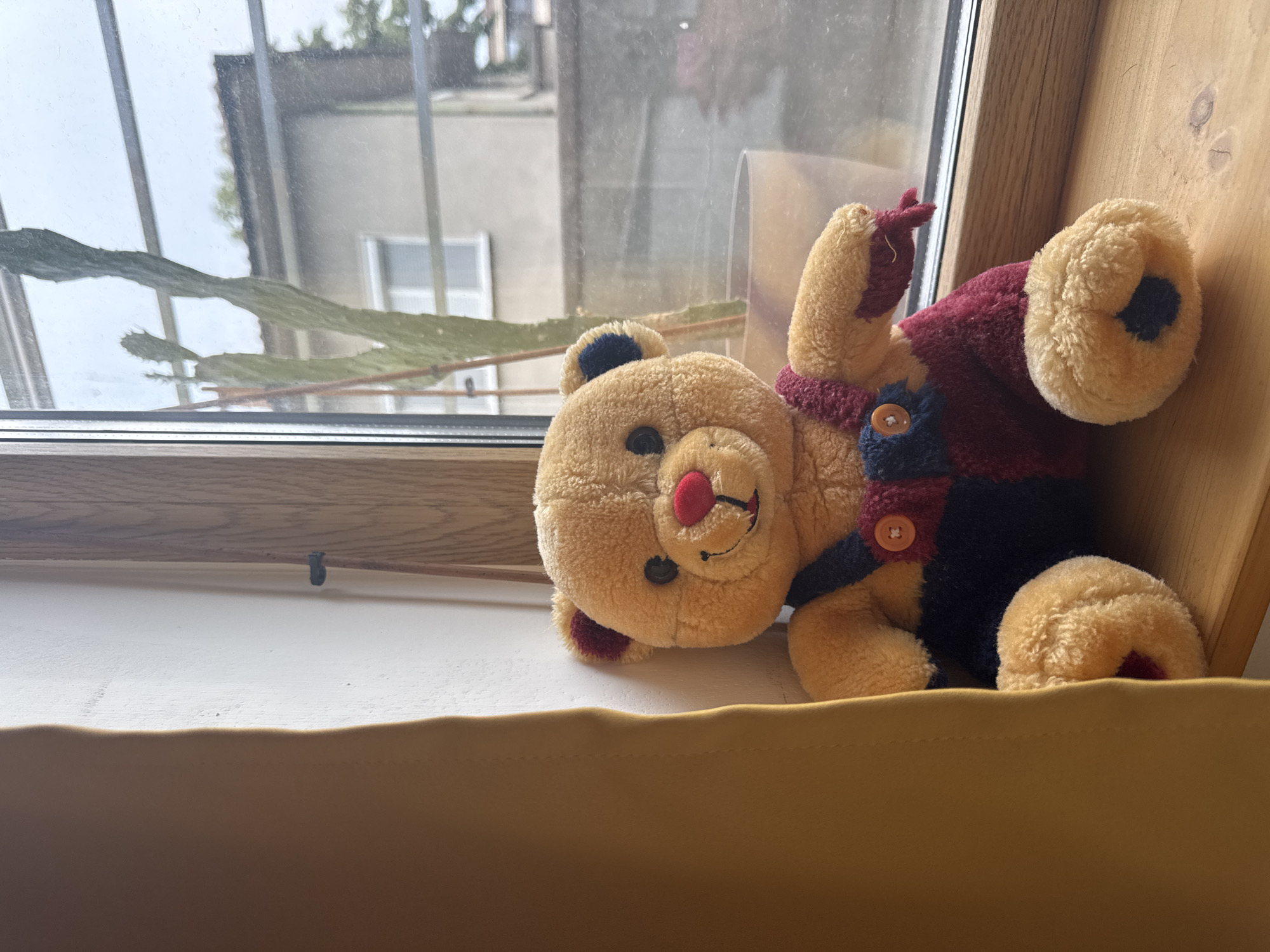 A plush teddy bear, with a red nose and red and blue overalls, sits on a wooden windowsill. The bear is positioned to the left of the frame, leaning slightly against a white wall. A yellow curtain hangs on the left edge of the image. Through the window, a cactus plant in a pot is visible, along with the roof of a building and some trees. The scene is illuminated by natural light, creating a shadow on the wall. The location is identified as Plovdiv, Bulgaria.