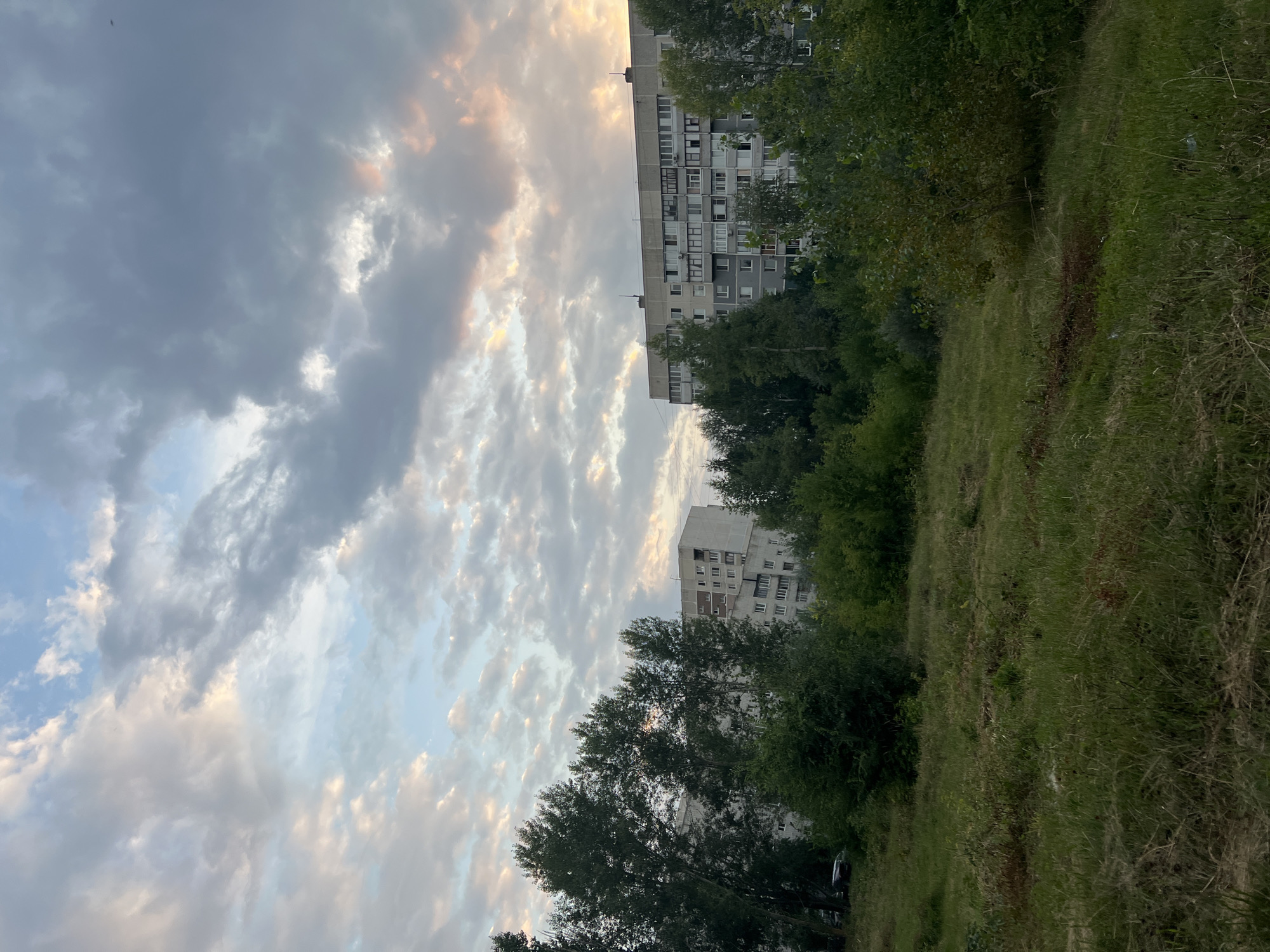 The image depicts a cloudy sky over a residential area in Ulyanovsk, Russia. In the foreground, there is an overgrown grassy field with scattered dry grass and some darker patches of earth or debris. Behind the field, a line of trees and bushes separates the natural area from the urban landscape. Two multi-story apartment buildings are visible through the trees. The buildings are constructed with concrete and have many windows. The sky is filled with a mix of gray and white clouds, with some hints of pink and orange light suggesting either sunrise or sunset. The scene is static and appears to capture a moment in the late afternoon or early morning. There are no people or any discernable activity shown in the image.