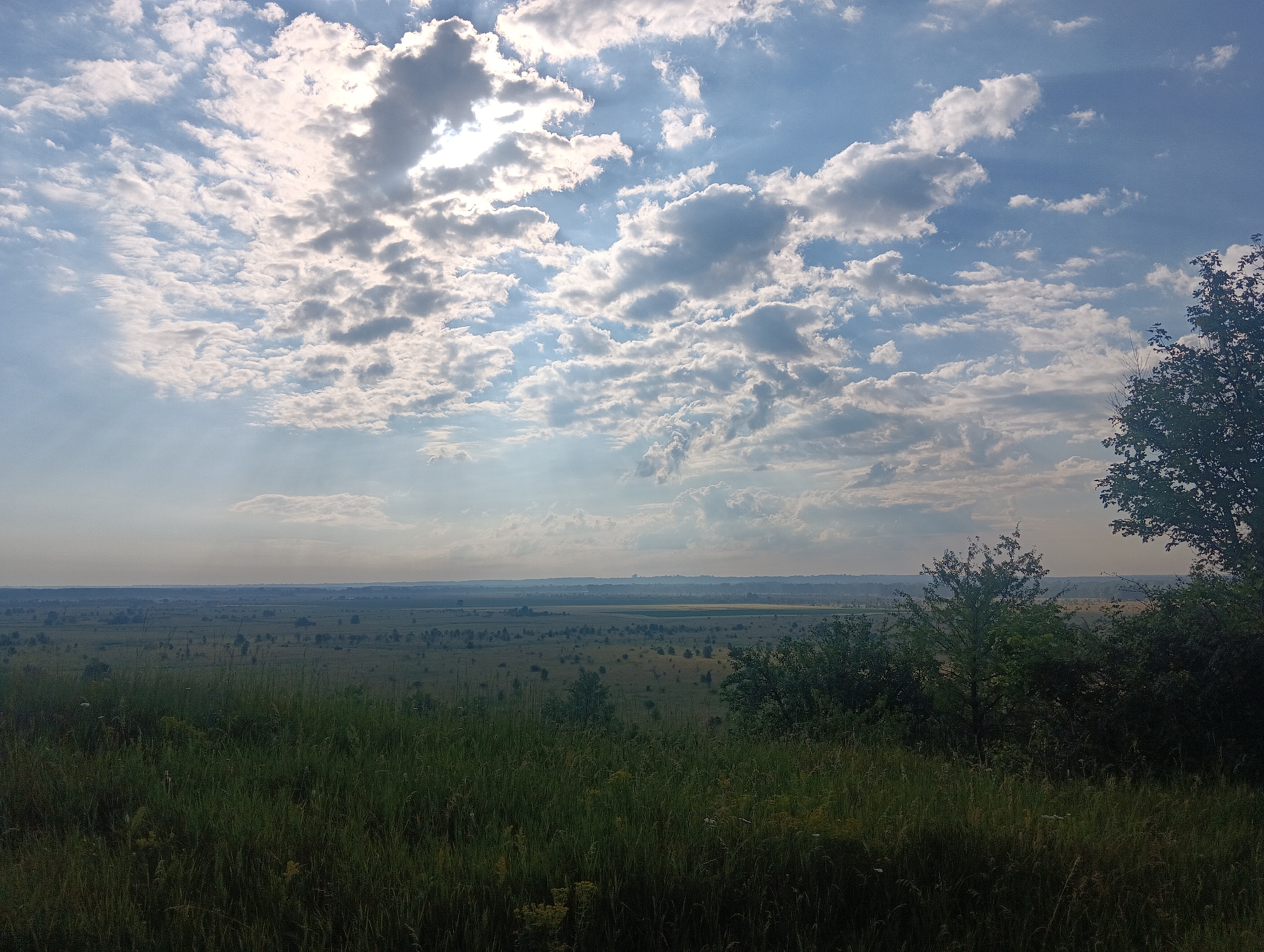 A wide-angle, high-angle view of a landscape under a cloudy sky. The foreground is dominated by a grassy slope with tall green grass and some scattered wildflowers. In the middle ground, there is a vast, flat field with scattered trees and some patches of yellow crop. The background shows a hazy horizon with distant hills or buildings. The sky is filled with a mix of white and gray clouds, with patches of blue sky visible. Sunlight breaks through the clouds, casting rays of light onto the landscape. The scene appears to be a rural or natural area, possibly on the outskirts of a city. There are no people or animals visible in the image. The overall impression is one of a serene and expansive natural environment.