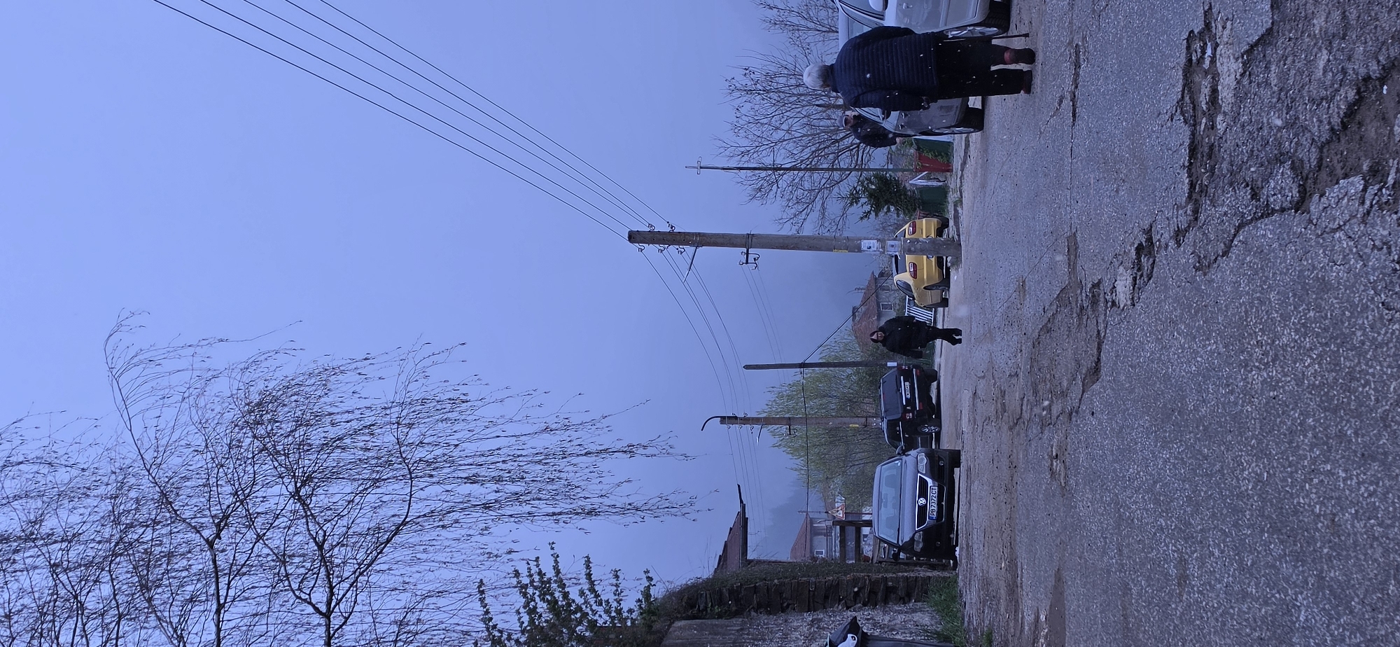 The image depicts a street scene in Breze, Bulgaria. Two people are walking on a cracked asphalt road. A parked silver car and a yellow car, as well as other vehicles, are visible. Overhead, a telephone pole with five wires stretches across the sky. A bare tree with thin branches is in the foreground. The sky is overcast.