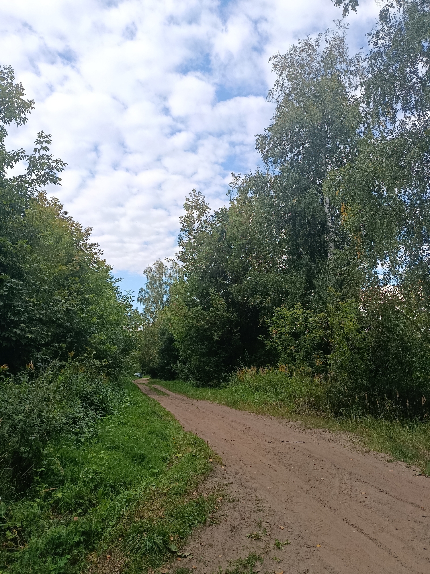 A dirt road curves through a dense forest with tall trees on either side. The sky above is a mix of blue and white clouds. The road is well-worn, with tire tracks visible in the sandy surface. In the distance, a small white vehicle can be seen parked on the side of the road. The forest is lush and green, with a variety of trees and undergrowth. The scene appears to be a rural or natural setting, possibly a park or a nature reserve, located in the city of Veriya, Russia.