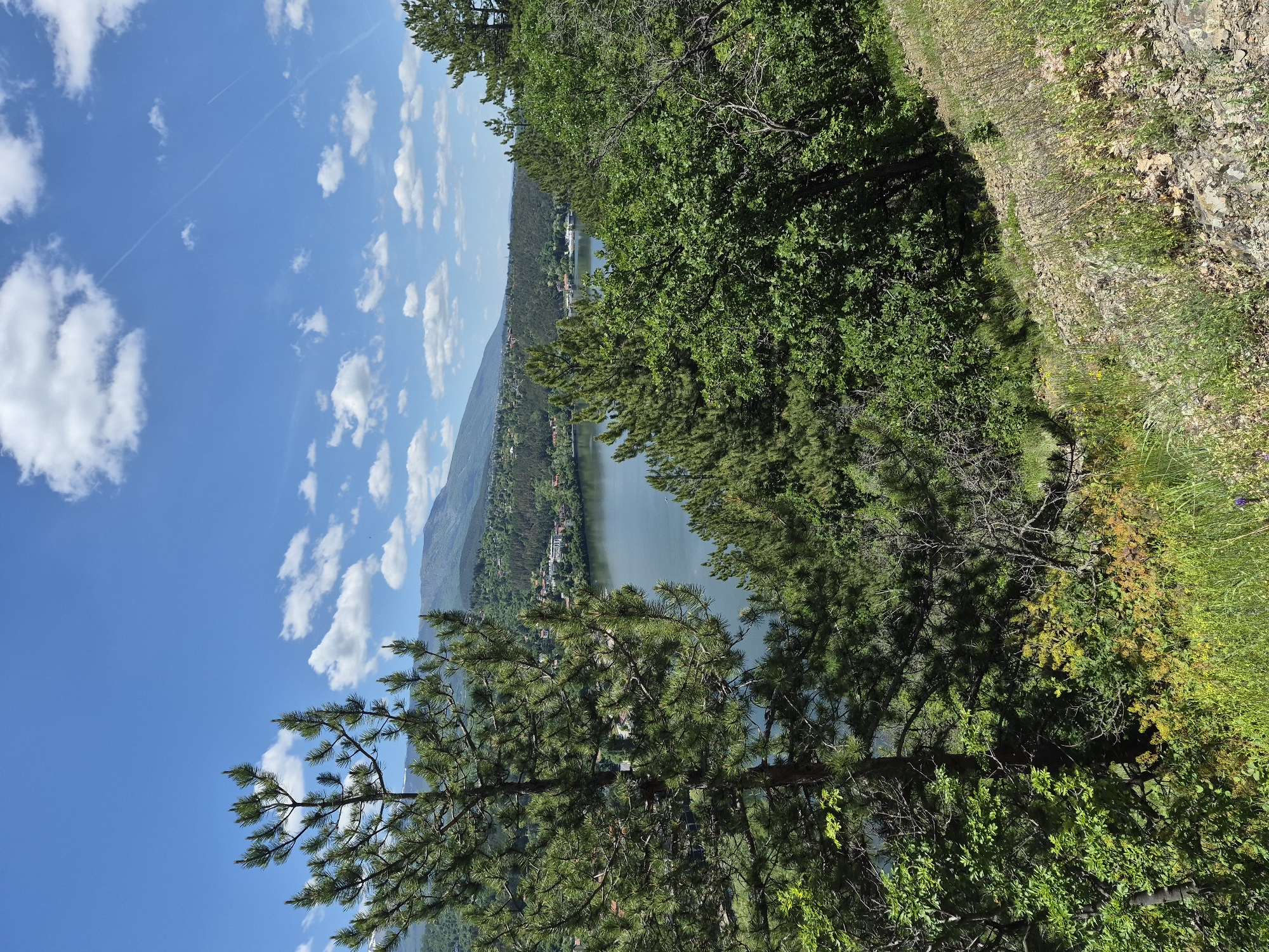 The image presents a scenic view of a lake surrounded by forested hills, observed from an elevated vantage point. The sky is blue with scattered white clouds. The foreground is dominated by lush green trees and vegetation along the edge of the viewing point. In the distance, a body of water reflects the daylight. The opposite shore is lined with vegetation and some visible structures, possibly residences or buildings, nestled amongst the trees. Beyond the lake, rolling hills are covered in trees, forming a landscape with gradual elevation changes. The precise location within the city of Unknown, Unknown cannot be ascertained from the image alone.