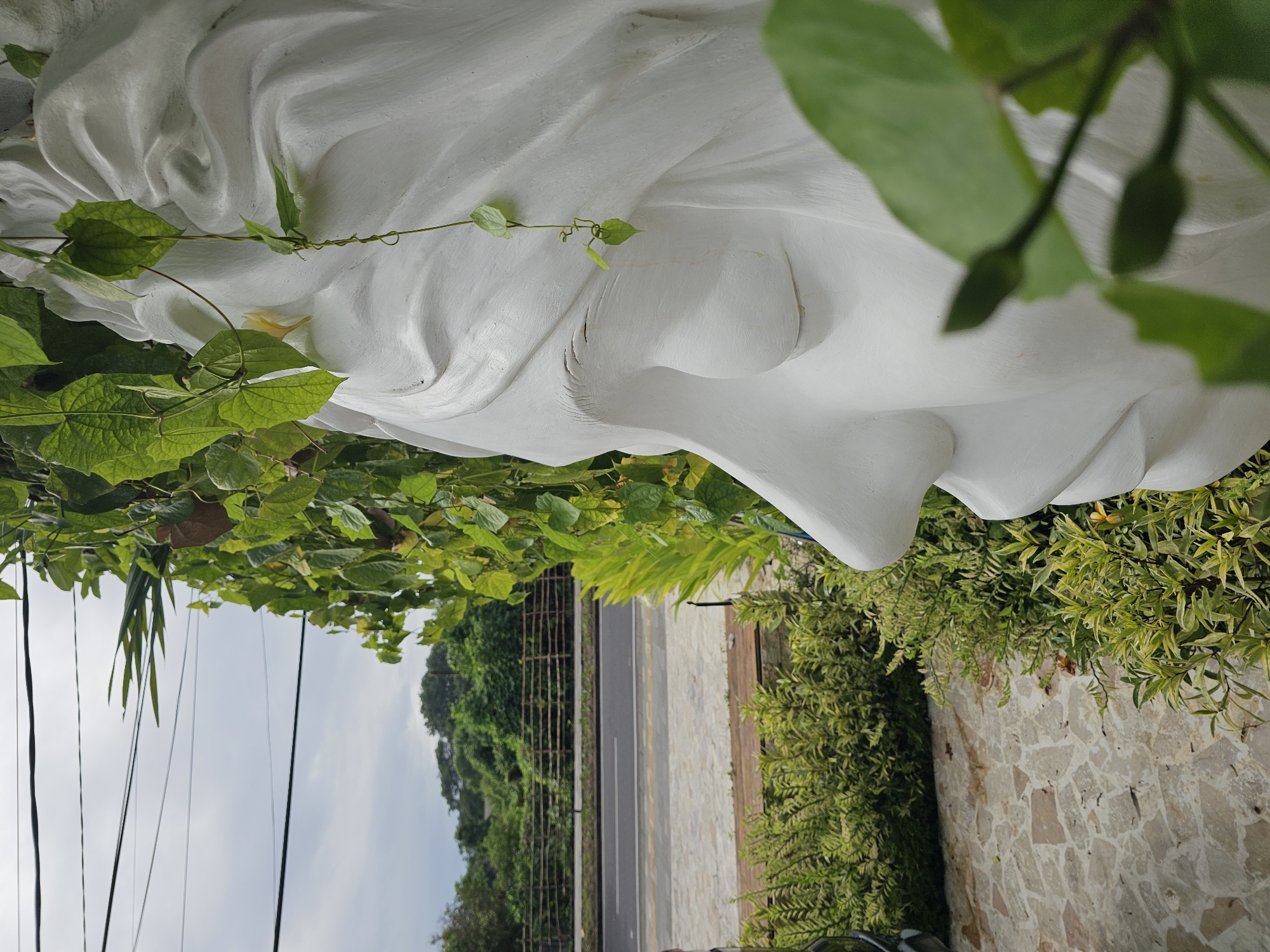The image shows a close-up of a white, weathered statue's face with eyes closed. Green vines and leaves are growing on the statue. The statue is situated near a roadside. In the background, there is a road, a green, vegetated hillside, and power lines against a cloudy sky. A stone wall lines the roadside, and more greenery is visible on the other side of the statue and wall. The location is identified as Denpasar, Indonesia.