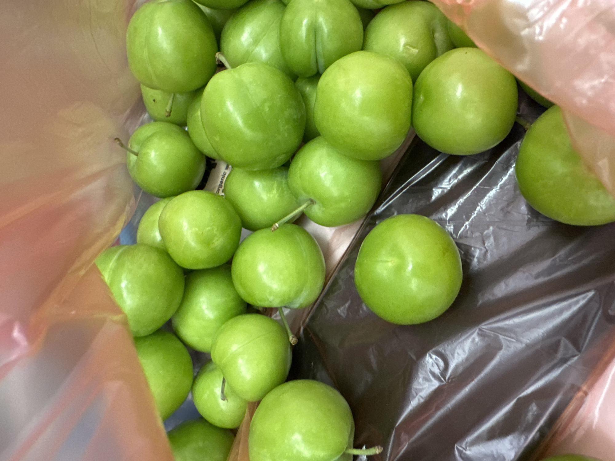 A close-up shot from inside a semi-transparent bag reveals a collection of bright green plums. The plums vary slightly in size and some have stems still attached. The bag appears to be partially lined with a dark, possibly black, plastic material. The scene is lit with a soft, natural light. No people are visible in the image. There is no visible evidence pointing towards the location being Sofia, Bulgaria.