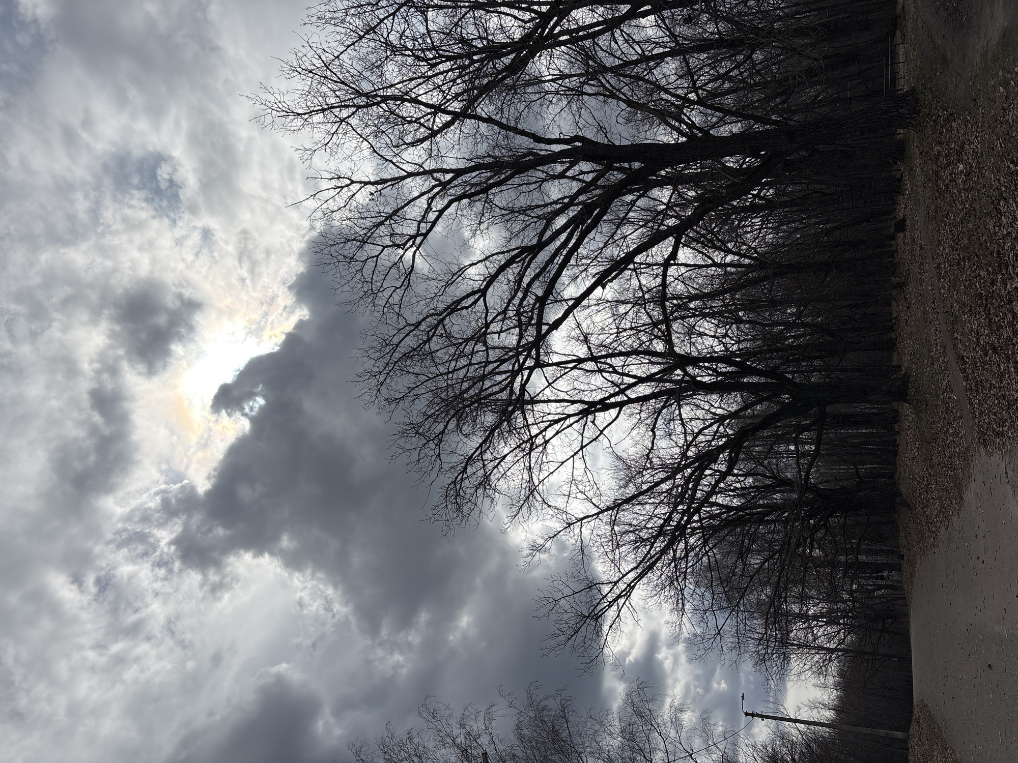 The image depicts a view of a sky filled with predominantly gray clouds, with the sun peeking through in a spot, creating a bright glare. The foreground is dominated by bare tree branches silhouetted against the sky. A road runs along the right side of the image. The location is Ulyanovsk, Russia. There are no people visible in the image. Other objects include tree branches, clouds, and a utility pole.