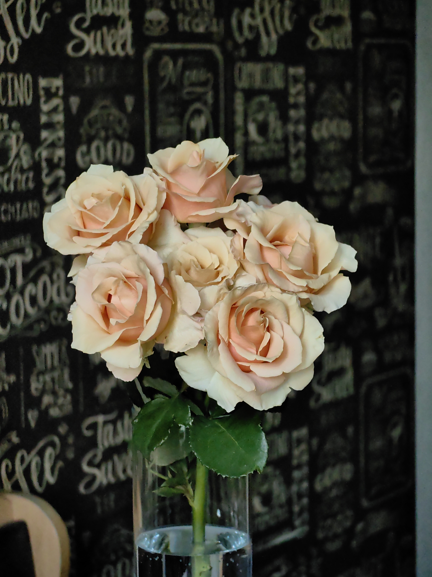 A close-up shot captures a bouquet of seven pale peach roses, tightly clustered in a clear glass vase filled with water. The roses, with their delicate petals, are the main subject, set against a dark, textured background that appears to be a blackboard with chalk-like lettering. The lettering is a collage of various fonts and phrases, including "ESPRESSO," "GOOD," "COCOA," and "Sweet," hinting at a cafe or coffee shop setting. The lighting is soft, highlighting the subtle color variations and textures of the rose petals. The composition is vertical, with the roses occupying the upper and middle portions of the frame. The background is out of focus, further emphasizing the roses. There are no people or animals visible in the image. The environment appears to be indoors, possibly a decorative display in a commercial establishment. There is no specific information about Fanipal, Belarus, that can be gleaned from the image itself.