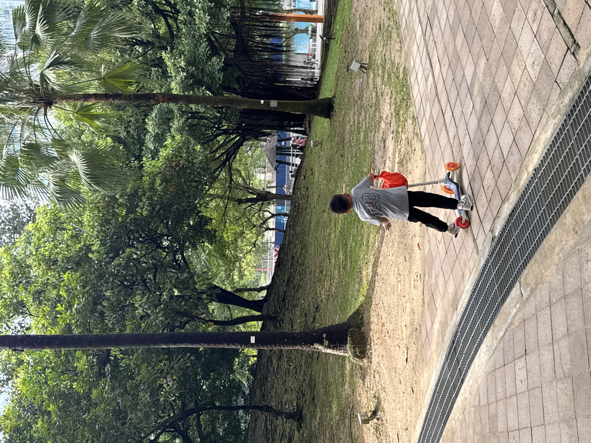 A young boy in a gray shirt and black pants is riding a scooter on a paved path in a park. He is also holding a red bag, possibly a lunch bag, in his left hand. The park has large trees, including palm trees. The path is bordered by a drainage grate. Based on the environment and foliage, the photo might be taken in Kuala Lumpur, Malaysia. A water park can be seen in the background behind the trees.