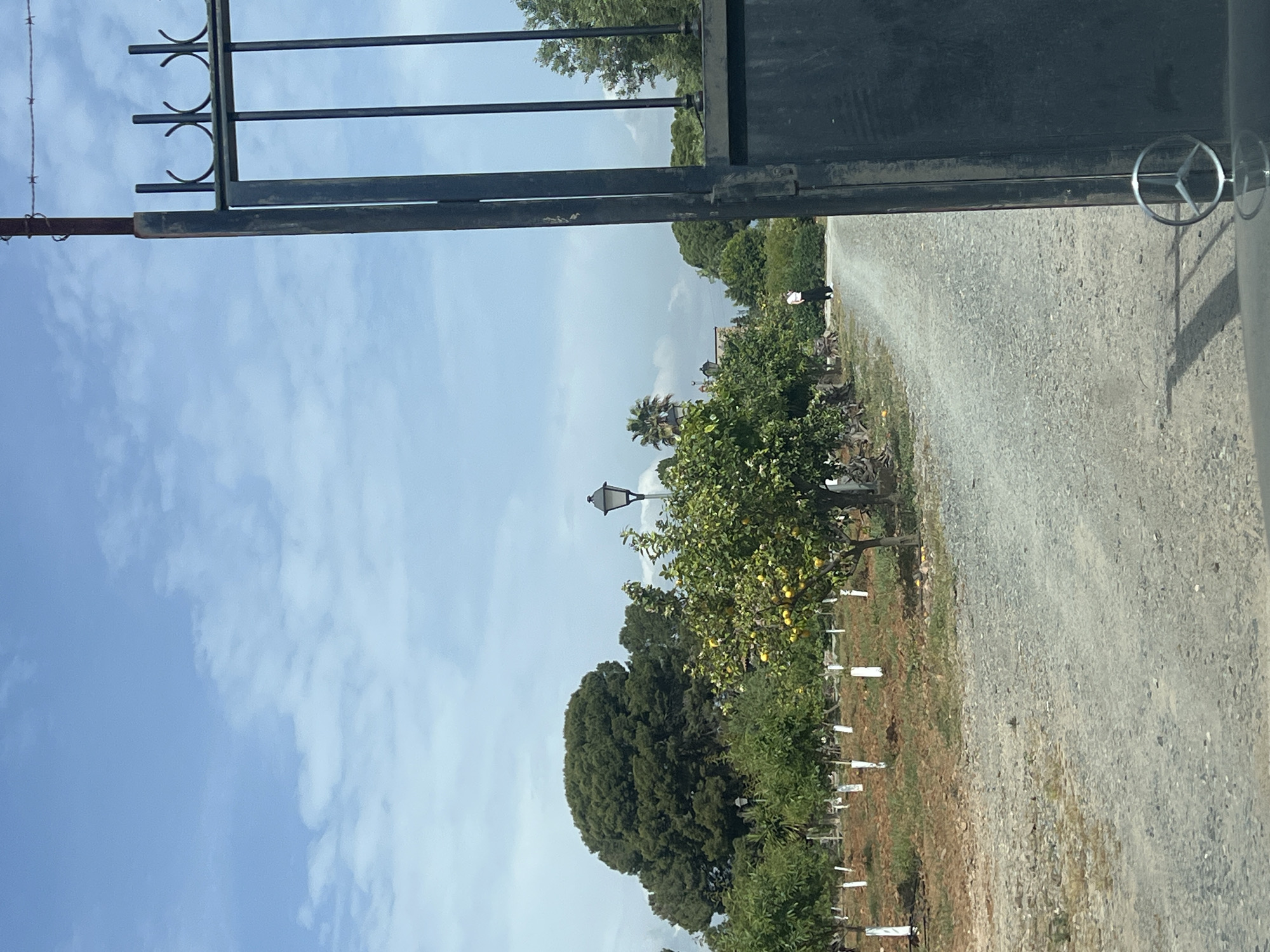 The image depicts an outdoor scene under a partly cloudy blue sky, captured from what appears to be inside a vehicle, looking out through a partially open gate. In the foreground, a robust black metal gate with decorative elements frames the right side of the view. A section of barbed wire runs along the far left edge.
A gravel road or path extends into the distance, curving slightly to the right. Along the left side of this path, an array of green trees is visible. Several fruit trees, laden with yellow fruits resembling lemons or oranges, stand out, with small white stakes placed near their bases, possibly marking new plantings or for support. Further back, denser foliage, larger trees, and a palm tree contribute to the lush landscape. A black street lamp with a traditional design is positioned amidst the trees on the left side.
In the mid-ground, a single person, dressed in a white shirt and dark trousers, is seen walking away along the gravel path. A reflective, circular object, possibly part of a Mercedes-Benz emblem, is visible on the far right of the image, close to the gate. The lighting suggests it is daytime. The scene evokes a tranquil, possibly semi-rural or estate entrance setting, consistent with the provided context of Vila-seca, Spain. No visible text is present in the image.
