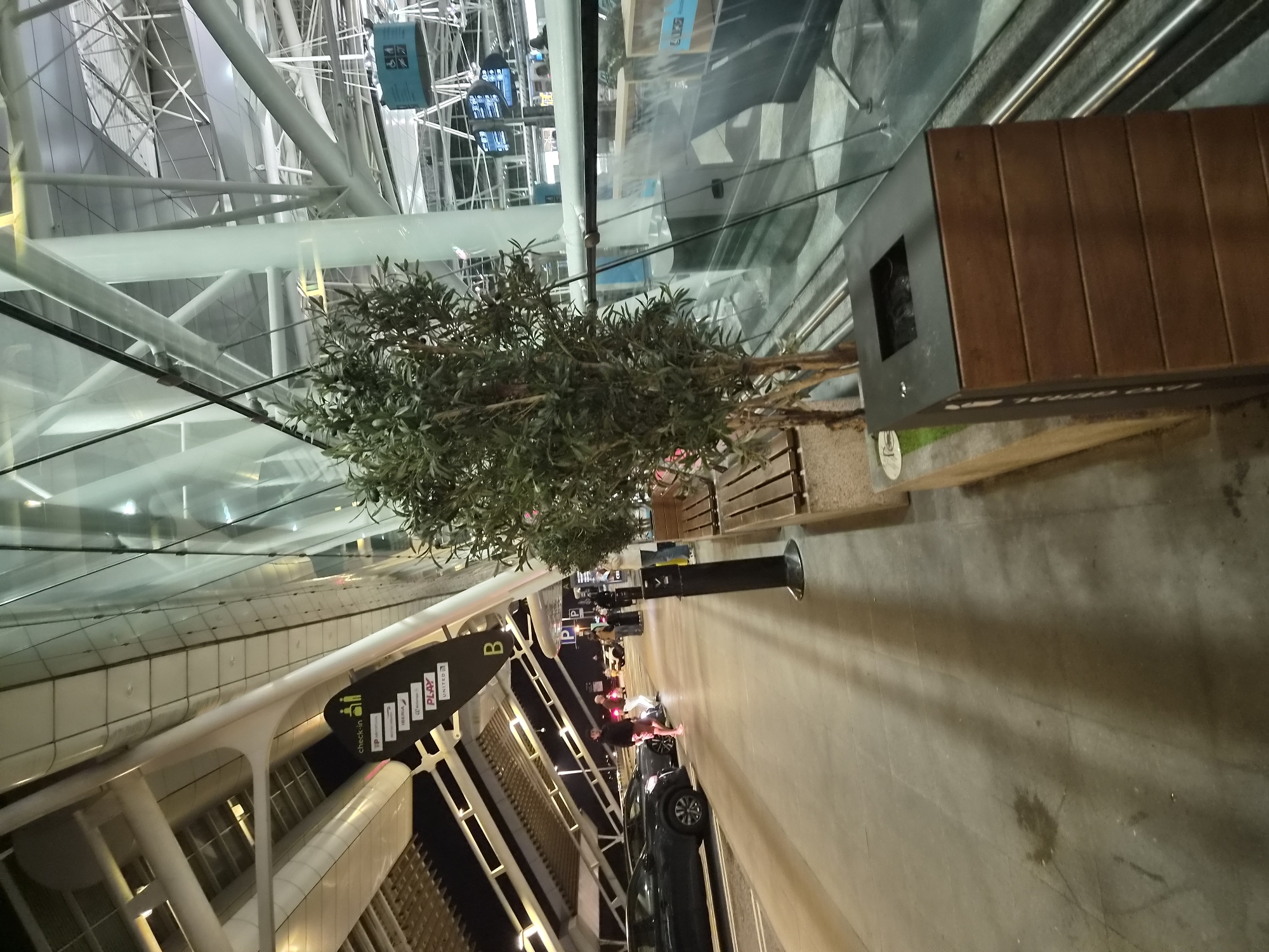 The image depicts an indoor scene in the city of Moreira, Portugal. The location appears to be an airport or transportation hub, suggested by the presence of check-in signage for airlines (e.g., United, PLAY) and overhead structures. The scene features a combination of modern architecture with glass and steel elements.
A small tree is centered in the image. To the right is a dark brown waste receptacle and a bench. Below the tree, there are several people and a couple of dark colored cars parked on the concrete. The setting suggests the image was taken at night, judging by the lighting conditions. The composition is slightly rotated, with the top tilted to the left and the bottom towards the right.