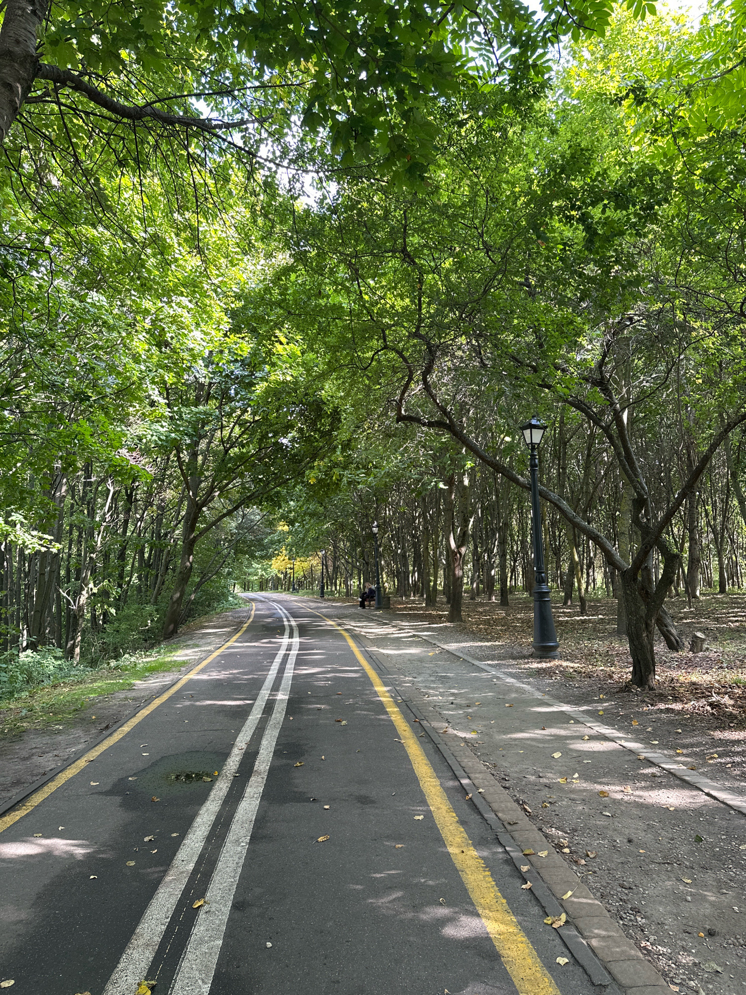 An asphalt pathway with yellow and white lane markings curves through a tree-lined park in Minsk, Belarus. The pathway is divided into two lanes, with the left lane marked by two white lines and the right lane by a single yellow line. Scattered fallen leaves litter the pathway and the adjacent dirt and gravel walkway. Tall trees with dense green foliage form a canopy overhead, casting dappled shadows on the ground. A vintage-style black lamppost stands along the right side of the pathway, and in the distance, a lone figure is seated on a bench. The scene appears to be a serene park or recreational area, possibly a biking or walking path, under a bright, overcast sky.