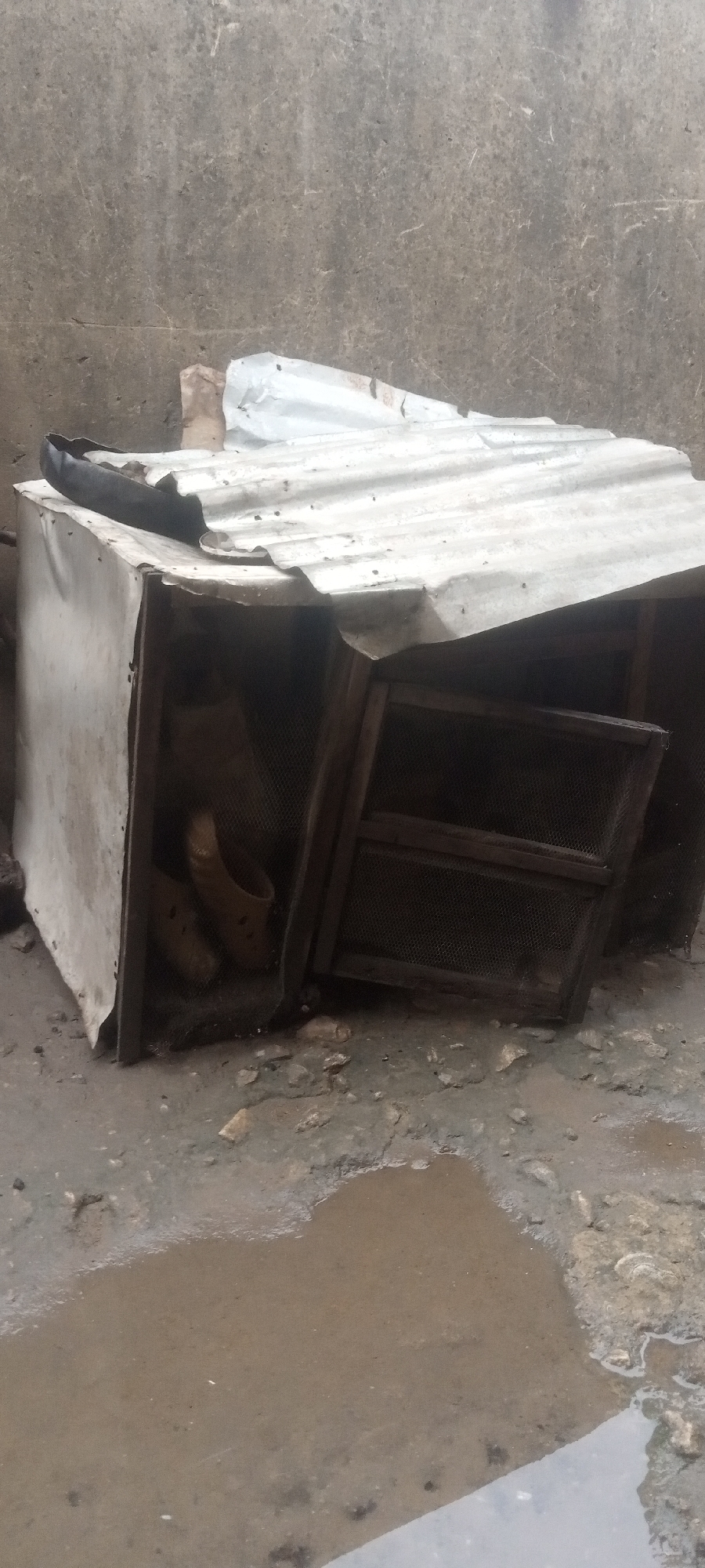 Sabon Tasha, Nigeria: A dilapidated chicken coop sits on a muddy surface. The coop is constructed from metal sheeting and wood, with wire mesh on one side. A pair of shoes is visible inside the coop. The background is a weathered wall.