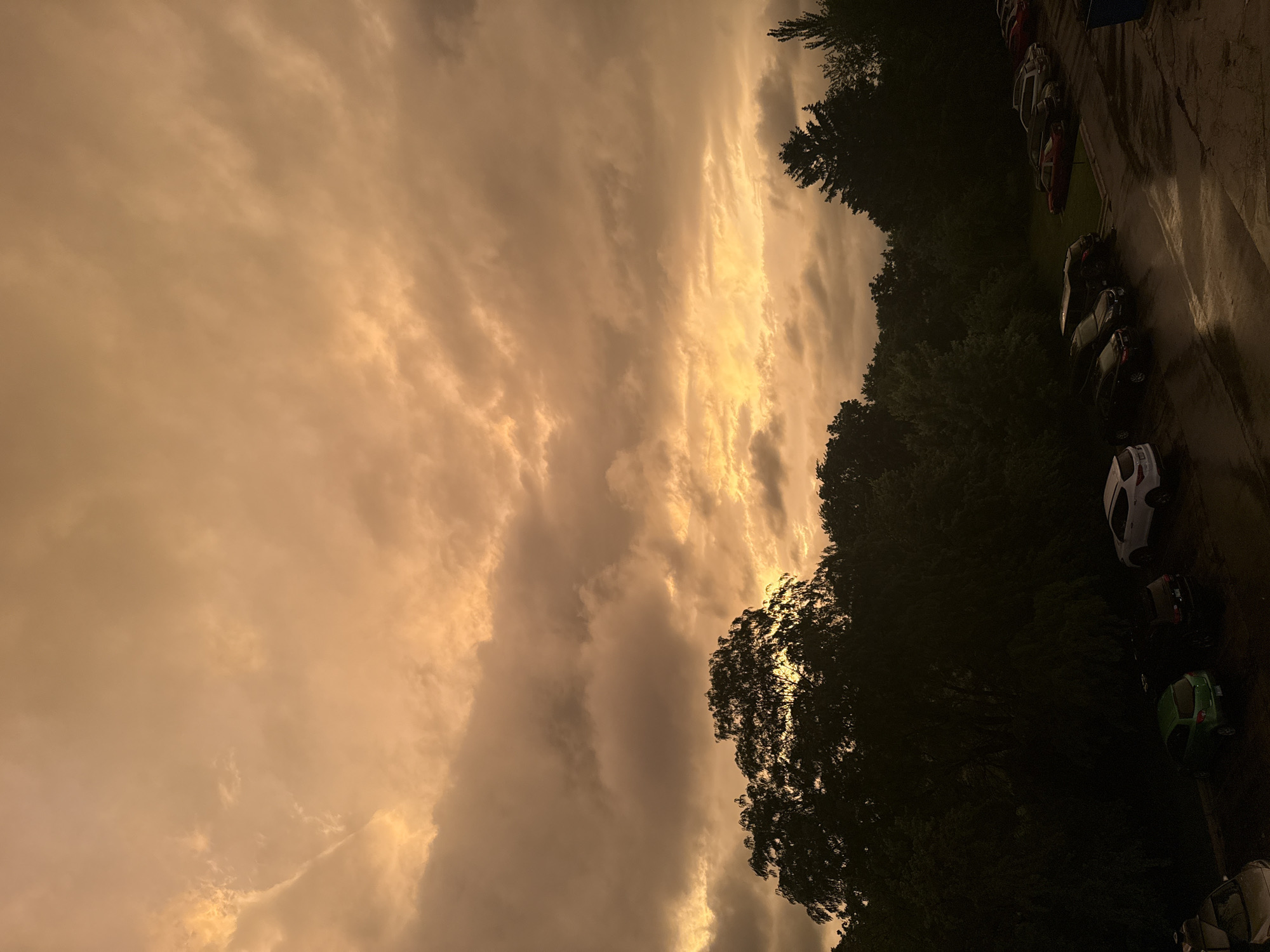 The image depicts a dramatic sky with orange and grey clouds, suggestive of twilight or impending storm. The foreground shows a dense line of dark trees silhouetted against the illuminated sky. Below the trees, a parking lot is visible, with several cars parked. The ground appears wet, indicating recent rain. The scene is captured from an elevated perspective, looking down onto the parking lot and trees. There are no people visible in the frame. The overall impression is one of a serene yet moody natural landscape adjacent to a suburban or urban setting.
