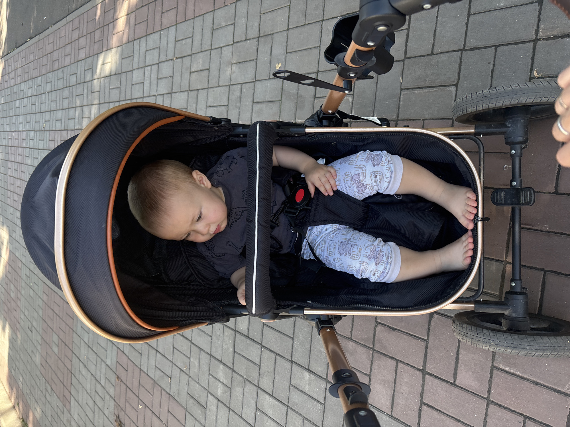 A young child is seated in a black stroller with gold accents. The child is wearing a grey t-shirt with a dinosaur print and light-colored pants with a white pattern of animals. The stroller is on a paved walkway made of rectangular bricks in varying shades of red and gray. Sunlight casts shadows on the walkway, indicating an outdoor daytime setting. The image appears to have been taken in Naberezhnye Chelny, Russia. The stroller has black wheels and a black canopy lined with orange. The child is looking to the right. A person's hands are visible in the foreground, suggesting they are pushing the stroller.