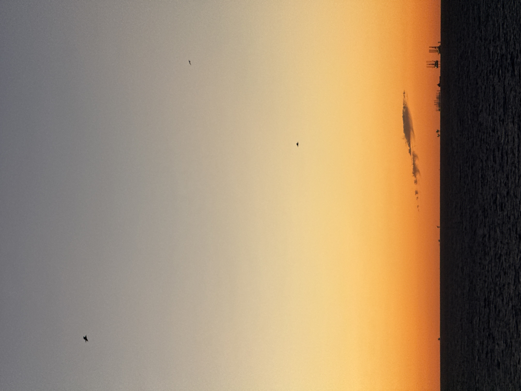 The image depicts a sunset over water, likely a sea or ocean. The sky transitions from a greyish-blue on the left to a vibrant orange on the right. There are scattered dark shapes in the sky, possibly birds. A dark mass that appears to be water forms the right edge of the image. In the far distance, where the sky meets the water, there are silhouettes of structures which may be buildings or industrial constructions. A strip of clouds can be seen. The location in the city of Unknown, Unknown is undetermined.