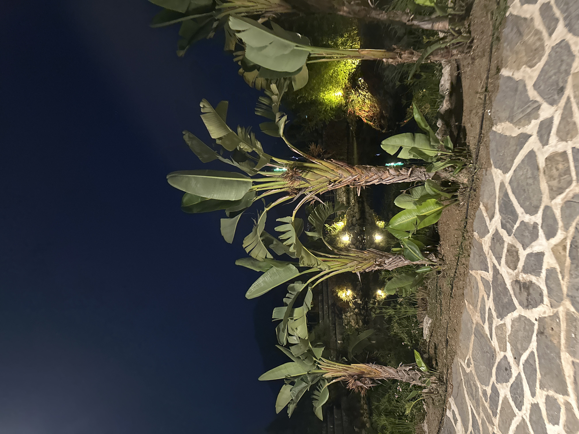 The image depicts a nighttime scene in Fethiye, Turkey, featuring a paved walkway of irregular stone slabs in the foreground. Beyond the walkway, a patch of dark soil is visible, with several large banana trees with broad green leaves and textured trunks planted in it. Some of these trees have visible flower buds. In the background, a body of dark water, likely a pond or small lake, reflects scattered yellow lights. The surrounding area is dimly lit with more yellow lights illuminating foliage and rocks. The sky above is a deep, dark blue, indicating nighttime. Distant, dimly visible hills or mountains can be seen on the horizon. There are no people or animals present in the image.