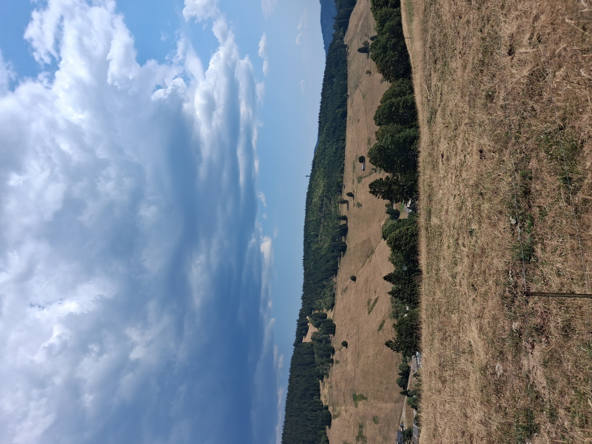 A wide shot captures a mountainous landscape under a dramatic sky, located in the vicinity of Todtnau, Germany. The foreground consists of dry, golden grass, with a thin wire fence running horizontally across the bottom of the frame. In the mid-ground, a rolling hill is covered in sparse, dry vegetation, punctuated by scattered trees. A small cluster of buildings is visible to the left on the lower slope of the hill. Further back, a dense forest of evergreen trees covers the upper slopes of the hills. The background is dominated by a vast sky, with a mix of dark, brooding storm clouds on the left and bright, blue sky with scattered white clouds on the right. A solitary tower-like structure is visible atop one of the distant hills. The overall scene suggests an impending storm or the aftermath of one, with the landscape showing signs of dry conditions. There are no people or animals visible in the image.