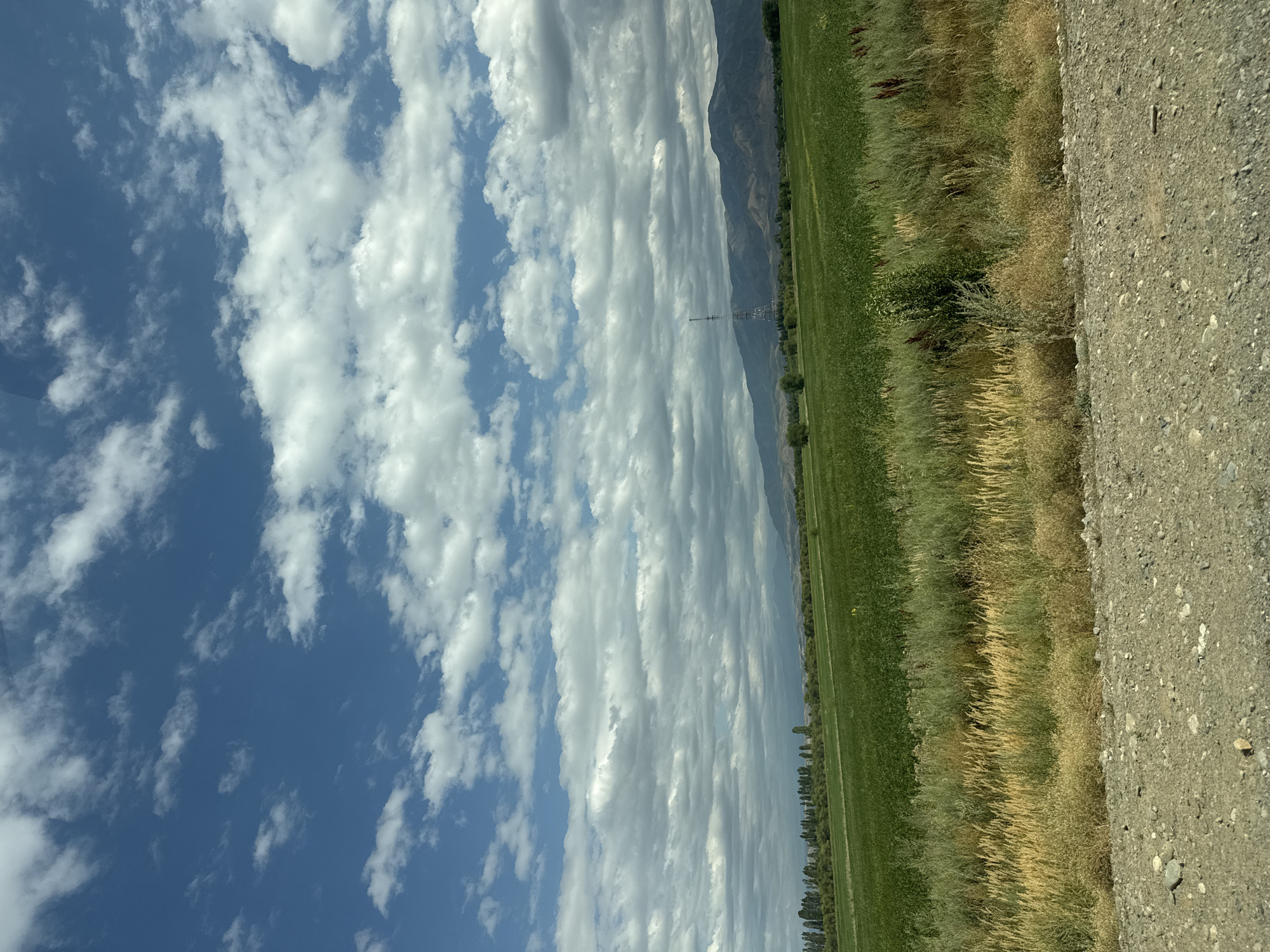 The image depicts a wide agricultural landscape under a partly cloudy sky. The foreground is a gravelly, dirt road. Beyond the road, there is a strip of tall, dry grass and weeds, with some areas of darker green vegetation interspersed. Further back, a vast, flat field of vibrant green crops stretches towards a line of trees in the middle ground. In the far distance, rolling hills and mountains form the horizon, with a tall, slender tower visible on one of the hills. The sky is a bright blue with numerous white, fluffy clouds scattered across it. The scene is likely located in an agricultural area surrounding the city of Sarqan, Kazakhstan, given the open fields and mountainous backdrop typical of the region. There are no people or animals visible in the image.
