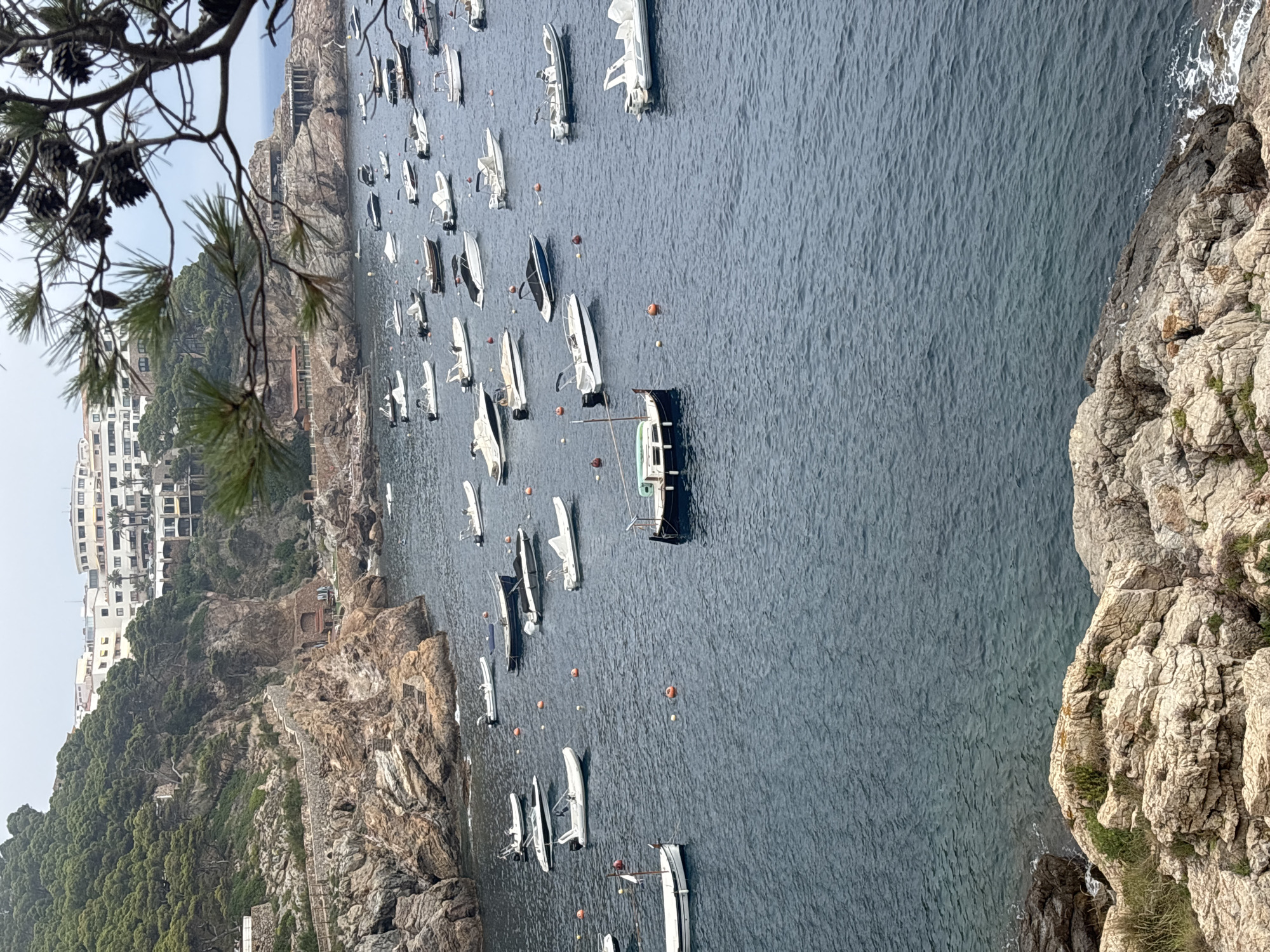 The image depicts a scenic view of a bay in Begur, Spain, characterized by a collection of moored boats of various sizes and types. The bay is nestled against a rugged, rocky coastline covered with dense green vegetation, predominantly trees and shrubs. Several buildings, likely hotels or residences, are visible on the hillside overlooking the bay, their white facades contrasting with the natural landscape. The water is a deep blue, with small waves indicating a gentle breeze. Some of the boats are white, while others are darker in color. Orange buoys are scattered throughout the water, marking areas or moorings. In the foreground, a cluster of light-colored rocks forms a natural overlook, with some dry grass growing among them. The sky is overcast, suggesting a cloudy day. The overall scene is tranquil, with a focus on the harmonious coexistence of nature and human activity.