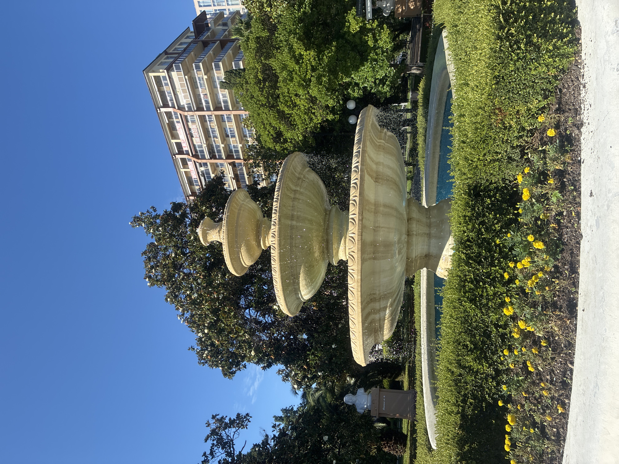 The image depicts a decorative fountain in a garden setting, with a tall, modern building in the background. The fountain itself is made of light-colored stone, with multiple tiered bowls from which water appears to be spraying. Surrounding the fountain is a neatly trimmed green hedge, and yellow flowers are blooming in the soil at the base of the hedge. To the left of the fountain, a large tree with dark green foliage is visible. The building in the background is a multi-story structure with numerous balconies and windows. The sky is a clear, bright blue, suggesting a sunny day. The image is oriented vertically. There is a small bust on a pedestal visible behind the fountain and to the right of the large tree. The overall scene suggests an outdoor public space or a well-maintained garden area, possibly part of a resort or hotel complex, given the architecture of the building. The weather appears to be pleasant and sunny. No people are visible in the image. The location context is Sochi, Russia.