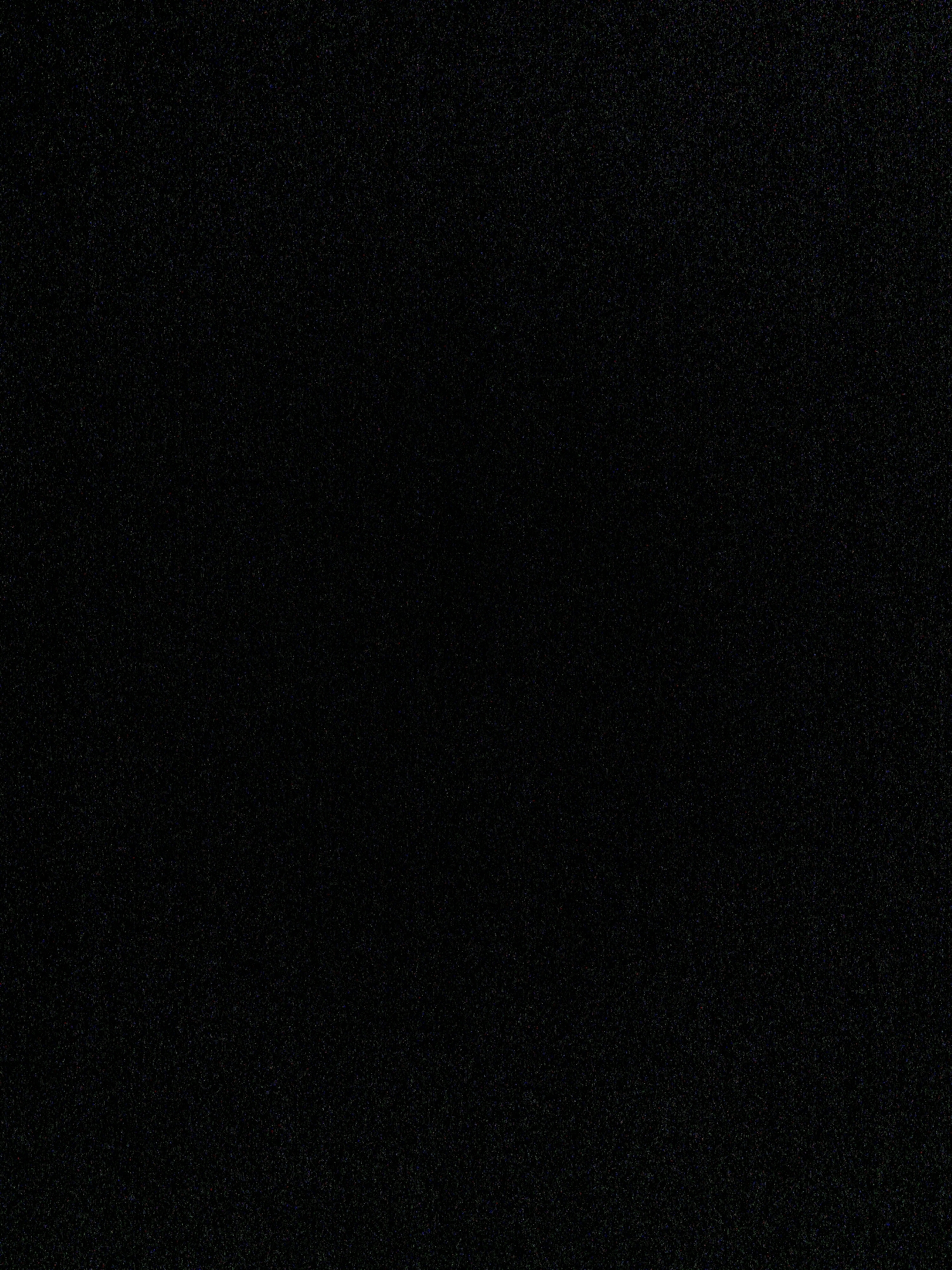 The image provided is a completely black frame with a grainy texture, suggesting a low-quality photograph or a deliberate artistic choice. There are no discernible objects, people, or environmental features visible. Therefore, it is impossible to provide any details about a scene in the city of Ермолкино, Russia, or any forensic description.