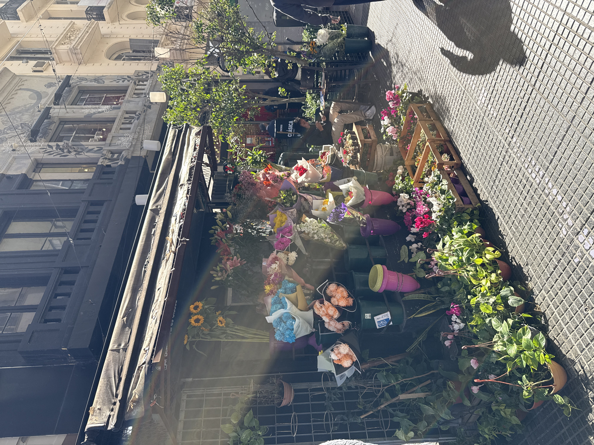 An outdoor flower stand is set up on a sidewalk in Buenos Aires, Argentina. The stand is filled with various cut flowers in bunches and potted plants. The flowers include roses, lilies, sunflowers, and assorted bouquets. The potted plants are mostly greenery with some flowering plants. The sidewalk is paved with diamond-patterned tiles. Behind the flower stand is a building with a dark facade. A partial view of a taller building with detailed architectural features is visible above and to the left. A man is reclining behind the flowers, talking on the phone. Two people are standing behind him. The shadow of a person is cast on the sidewalk near the edge of the frame. The scene appears to be bathed in bright sunlight.