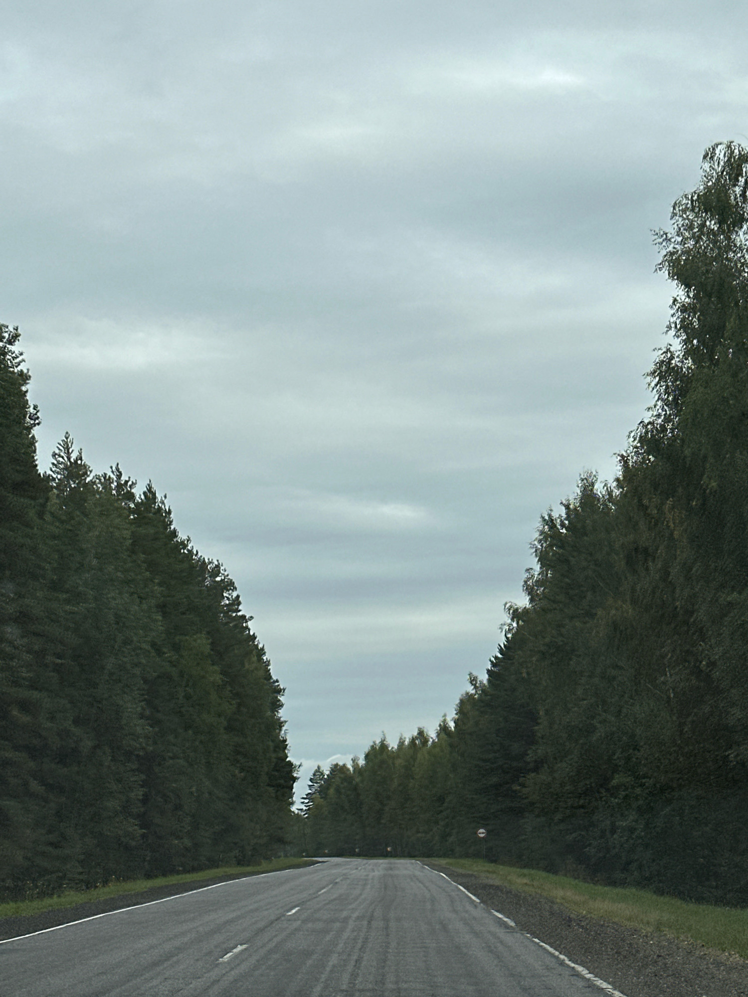 The image depicts a paved road with a white line marking the edge and intermittent white dashed lines indicating lanes. The road is flanked on both sides by dense, dark green coniferous trees that form a natural corridor. The sky above is overcast with a pale gray, cloudy texture. The overall scene is one of a rural or forested highway in Belarus, possibly within the Чыркавіцкі сельскі Савет. There are no people or vehicles visible in the image. A small, circular sign with a red border and white center is present on the right side of the road.