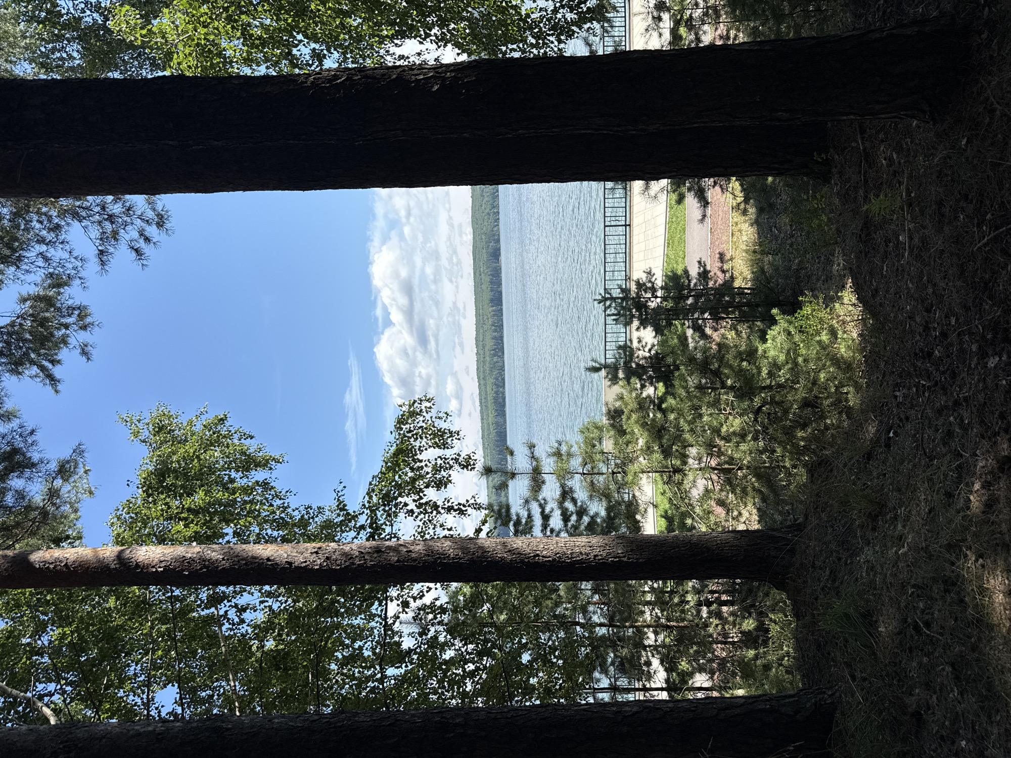 The image shows a view of the Kama River from a forested area in Chaikovsky, Russia. In the foreground, there are several large trees, with their trunks silhouetted against the brighter background. The ground is covered in dark soil, pine needles, and sparse vegetation. Beyond the trees, a body of water, identified as the Kama River, stretches across the middle ground, bordered by a distant, tree-covered shoreline. A black metal fence runs along the riverbank, separating it from a paved walkway and a grassy area. The sky is blue with scattered white clouds. The scene depicts a natural landscape within an urban environment.
