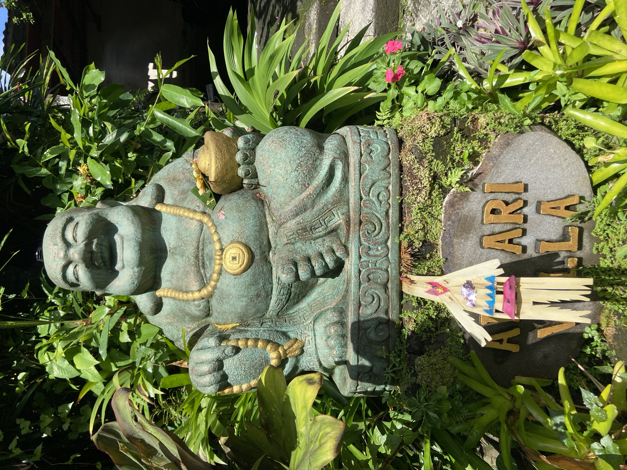 This is a medium shot, vertically oriented, outdoor photograph of a smiling Buddha statue sitting amongst lush green foliage. The statue is weathered and appears to be made of stone or concrete with a greenish patina. It is adorned with a gold-colored necklace and bracelet. To the right of the statue, a grey, irregular-shaped stone is embedded in the ground, bearing gold-colored, raised lettering that reads "ARI VILLA". In front of the stone, a small, rustic offering of bamboo sticks, decorated with colorful fabric and what appears to be a small figure, is placed. The surrounding vegetation is dense and varied, with large, broad leaves and smaller, delicate plants. Sunlight filters through the leaves, creating highlights and shadows, suggesting it is daytime. The scene evokes a sense of tranquility and tropical ambiance. The overall setting appears to be a garden or courtyard in a tropical location, consistent with the "Ubud District, Indonesia" context.