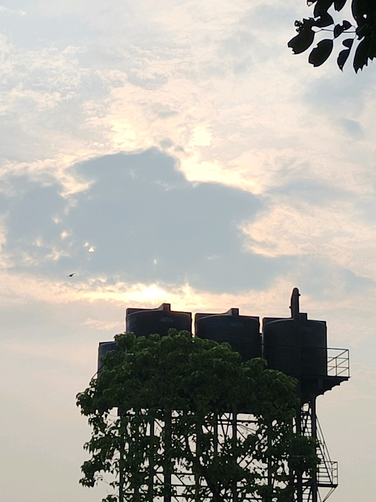 The image shows a water tank on a metal structure, with trees in the foreground and a cloudy sky in the background. The water tank is black and appears to be made of plastic. It is elevated on a tall metal structure, possibly a water tower. The trees are green and lush, and they partially obscure the view of the water tank. The sky is filled with clouds, and the sun is visible behind one of the clouds, casting a warm glow. A bird is flying in the sky, to the left of the water tank. The overall scene suggests an outdoor environment, possibly in a park or a suburban area. The image has a slightly muted color palette, which could indicate it was taken during sunrise or sunset. There are no people visible in the image.