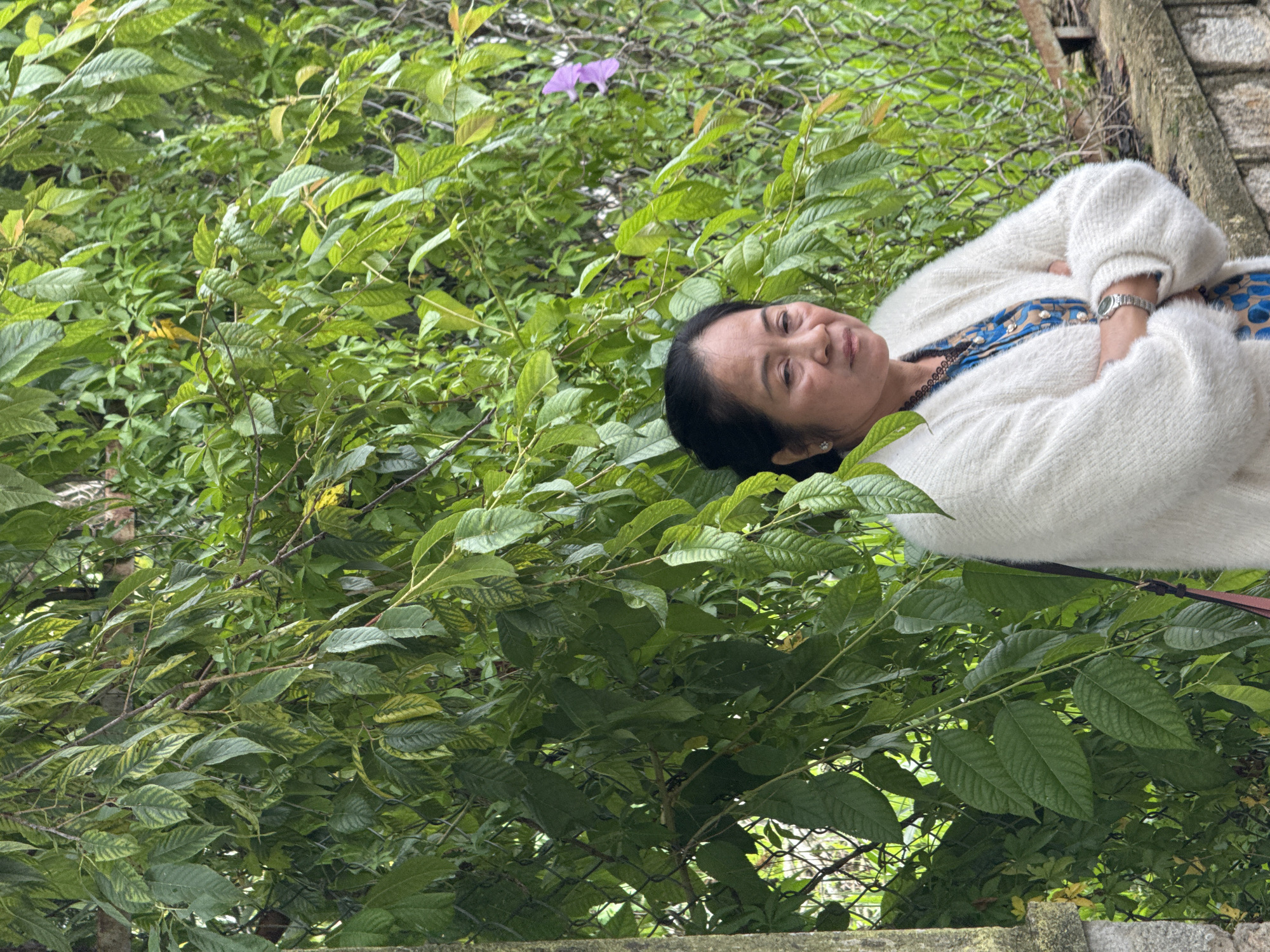 In Da Lat, Vietnam, a woman stands with her arms crossed in front of a lush, green leafy vine that is growing on a chain-link fence. The woman has dark hair, pulled back, and wears a white, fluffy cardigan over a blue and brown patterned dress. A silver watch is visible on her left wrist. A single purple flower blooms amidst the foliage on the right side of the image. The background appears to be an outdoor setting with a weathered stone wall in the foreground.