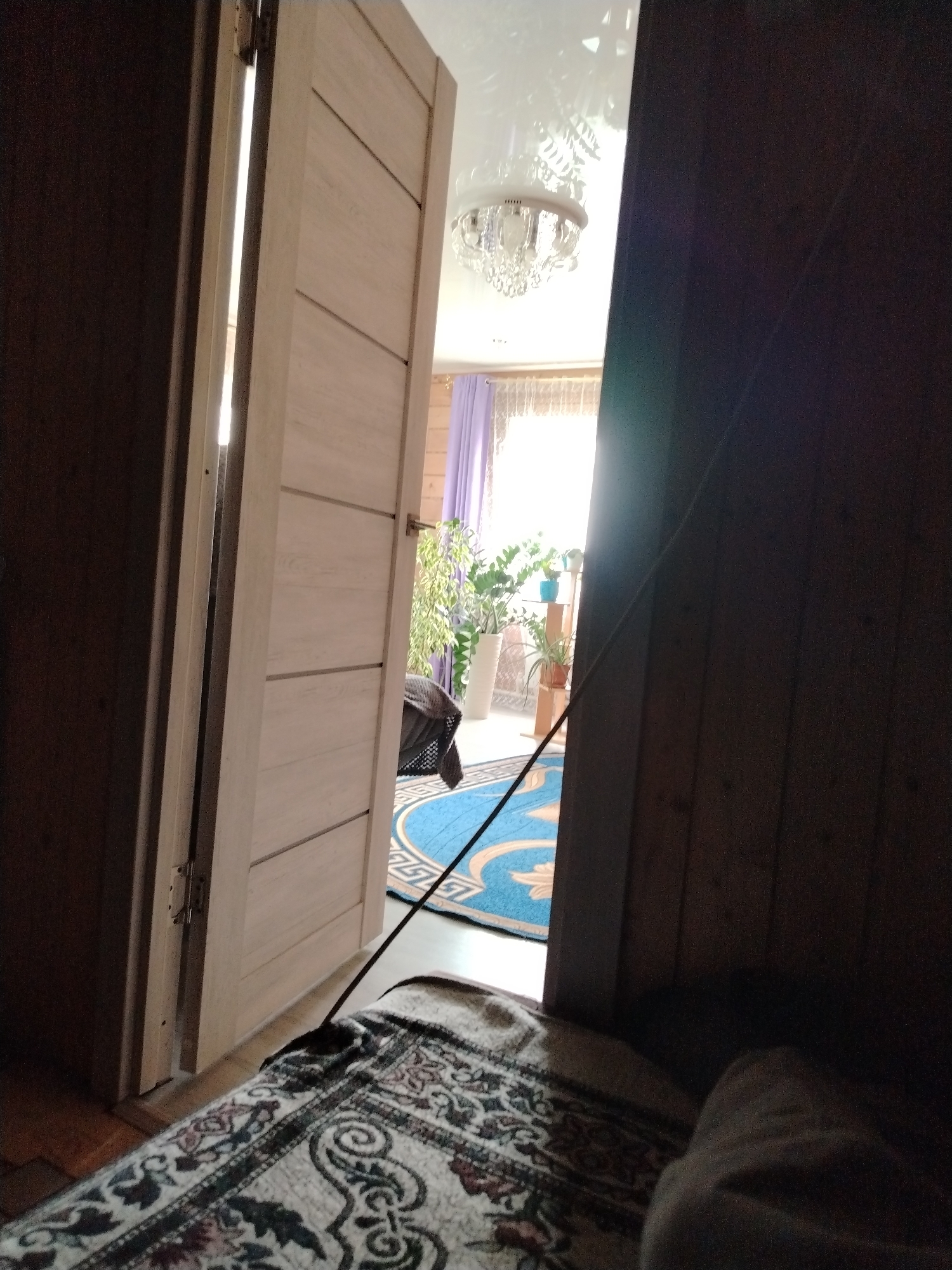 The image depicts an interior scene, likely a room in a residential building in Nizhnyarkeyevo, Russia. The vantage point is low, suggesting the camera is positioned on or near the floor. In the foreground, a patterned rug covers the floor. To the left, a light-colored wooden door is ajar, revealing a glimpse into an adjacent space. The door has horizontal paneling and a silver doorknob. Through the open doorway, a blue rug with a circular design is visible, along with a black cable extending from the right side of the frame towards the doorway. Further into the visible space, lush green plants in white and terracotta pots are arranged near a window, where purple curtains are drawn. A chandelier with crystal accents hangs from the ceiling. The right side of the image is dominated by dark, vertical wooden paneling, creating a stark contrast to the brighter, more interior-lit area.