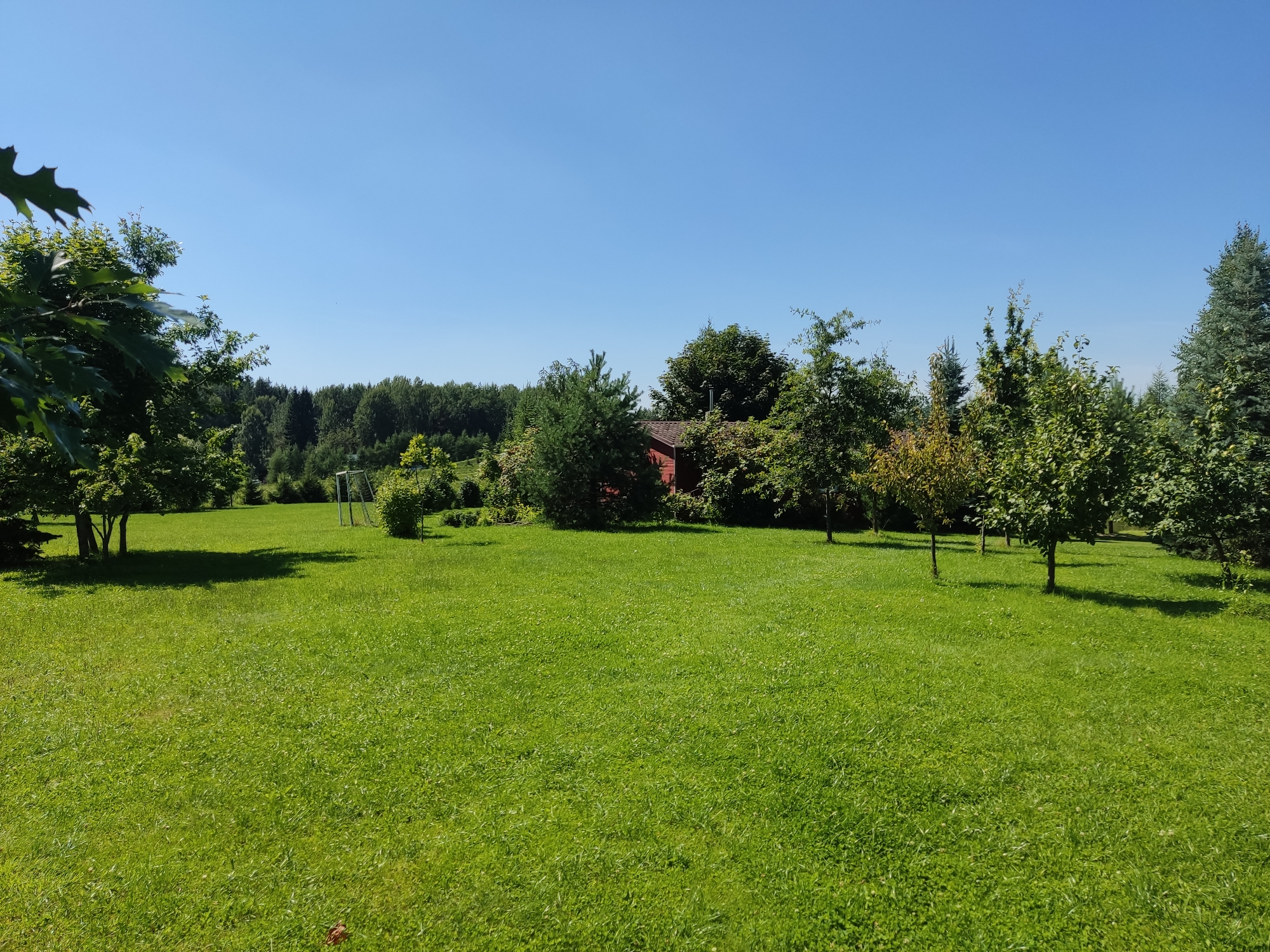 The image depicts a sunlit, open lawn area with a clear blue sky. In the background, a dense line of trees borders the property, with a small red building partially visible amongst them. Several scattered trees of varying sizes and types are present on the lawn, casting shadows. To the left, a large tree with dark green leaves dominates the foreground. To the right, a white soccer goal is visible. The overall environment appears to be a rural setting, potentially a park or backyard in Astrashitskagaradokski rural council, Belarus. There are no people or animals visible in the scene.