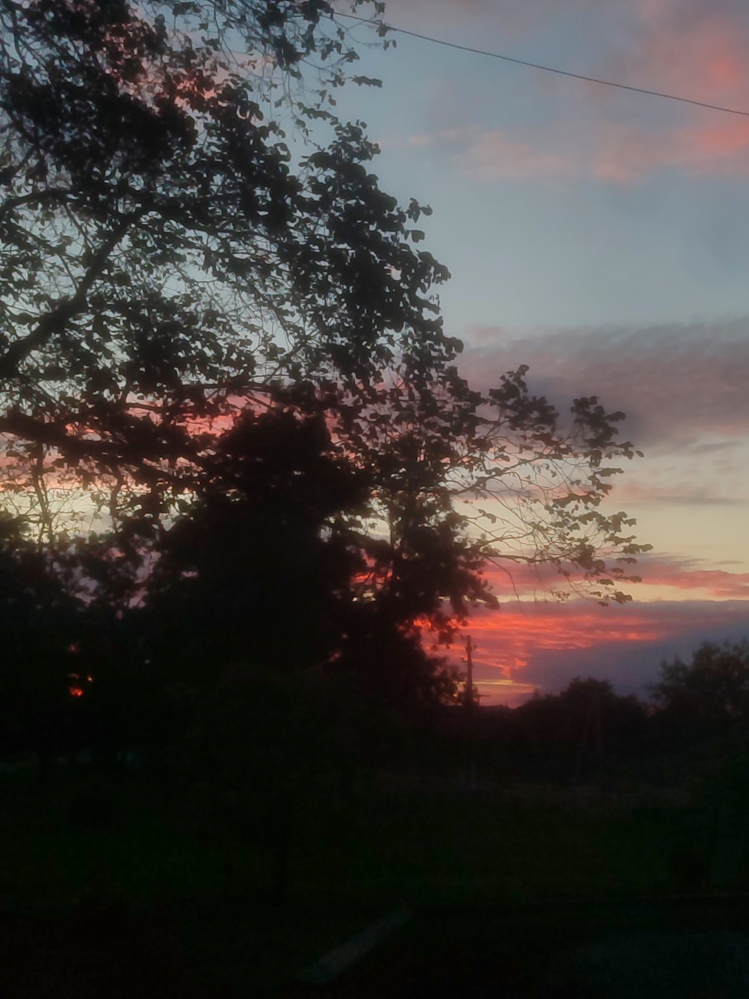 A serene sunset scene unfolds in an outdoor location, possibly rural or suburban. The sky is a canvas of soft blues, greys, and vibrant pinks and oranges, indicating the sun is setting or has recently set. Wispy clouds are scattered across the sky, catching the last rays of sunlight. In the foreground, the silhouetted branches of a large tree dominate the left side of the frame, its dark foliage creating a stark contrast against the colorful sky. The lower portion of the image transitions into a dark, indistinct foreground, suggesting a grassy or natural ground cover. The overall atmosphere is peaceful and tranquil.