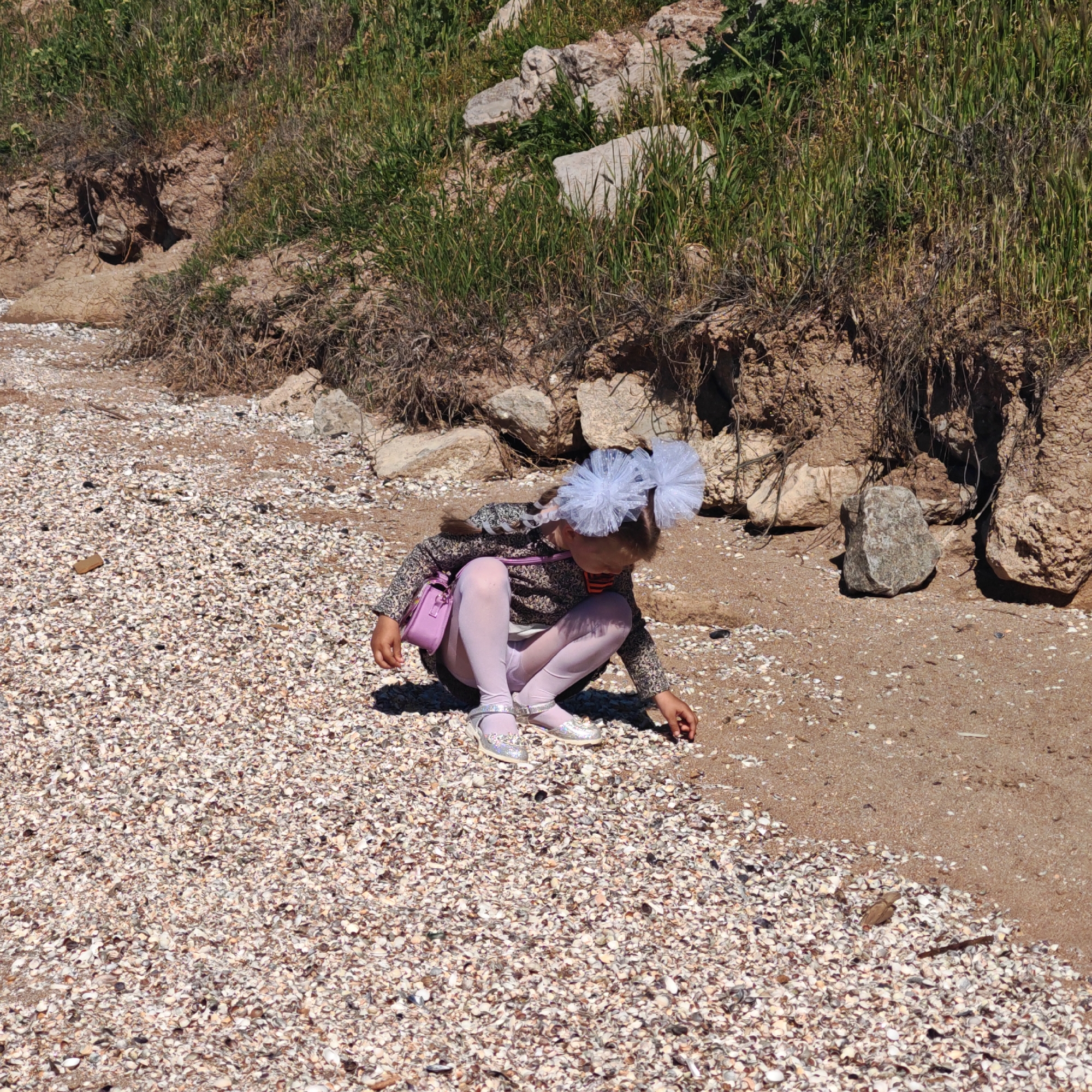 A young girl is squatting on a beach covered in small seashells, located in городское поселение Щелкино, Ukraine. She wears a patterned shirt, light purple tights, and silver shoes. A purple purse hangs on her shoulder, and she has large white bows in her hair. She is looking down, and her right hand is extended, possibly touching or examining something on the sand next to the shells. Behind her is a low, sandy bank with exposed roots and grassy vegetation. The ground is predominantly covered with shells, transitioning into a darker sand towards the right edge of the frame. The lighting suggests a sunny day, casting a shadow directly behind the girl.