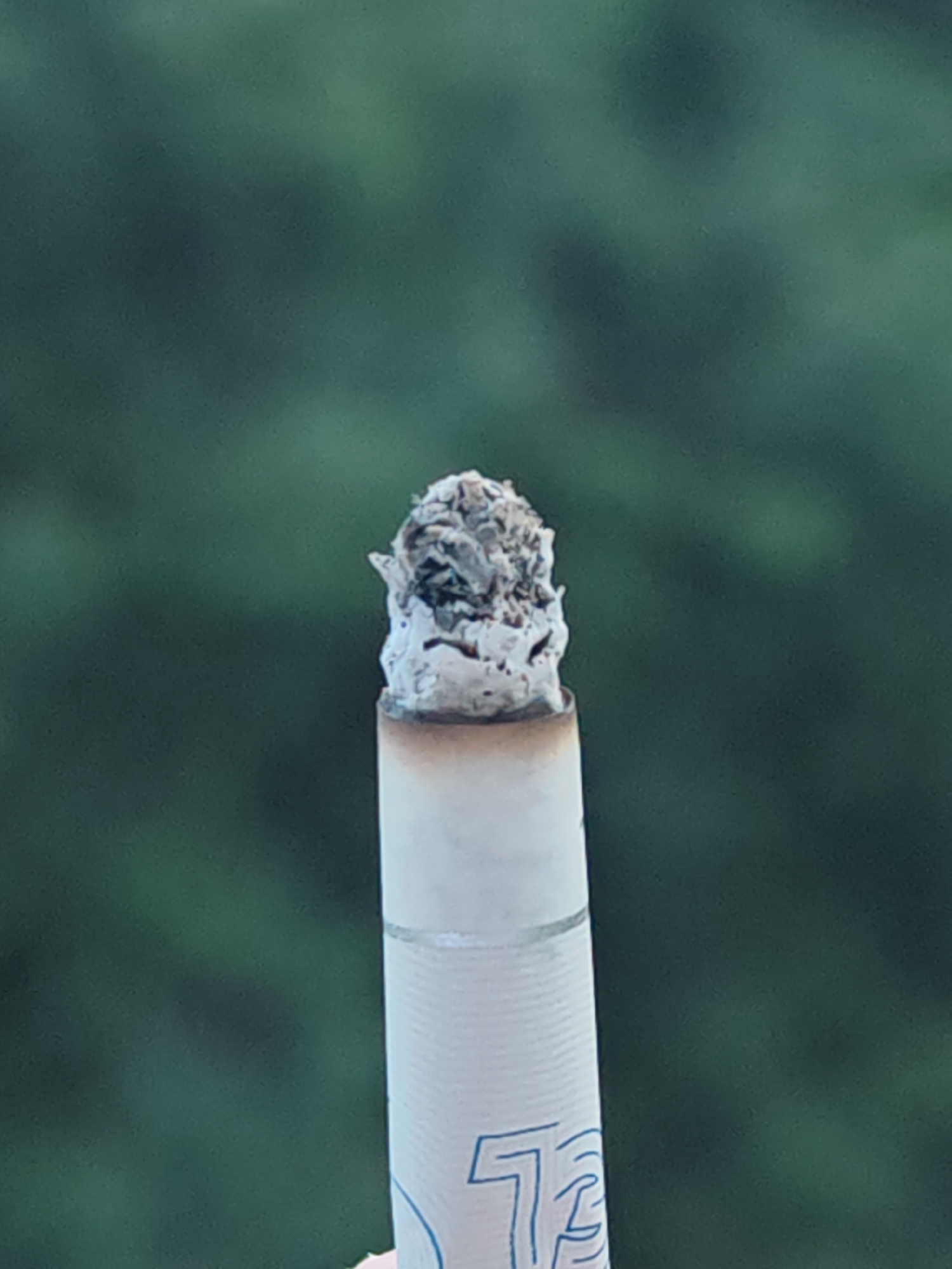 A close-up, vertical shot focuses on a partially consumed cigarette, centered against a deeply blurred, out-of-focus background of dark green foliage. The tip of the cigarette features a substantial, irregularly shaped accumulation of light and dark grey ash, roughly conical and textured with varied tones and visible charred elements. Below the ash, the cigarette's wrapper is off-white, showing a distinct band of light brown discoloration where the tobacco has burned. A partial blue graphic, appearing as a stylized "7S" within an incomplete circular design, is visible on the lower portion of the white paper. The soft-focus green background suggests an outdoor natural setting, potentially a park or garden within or on the periphery of Shumen, Bulgaria.