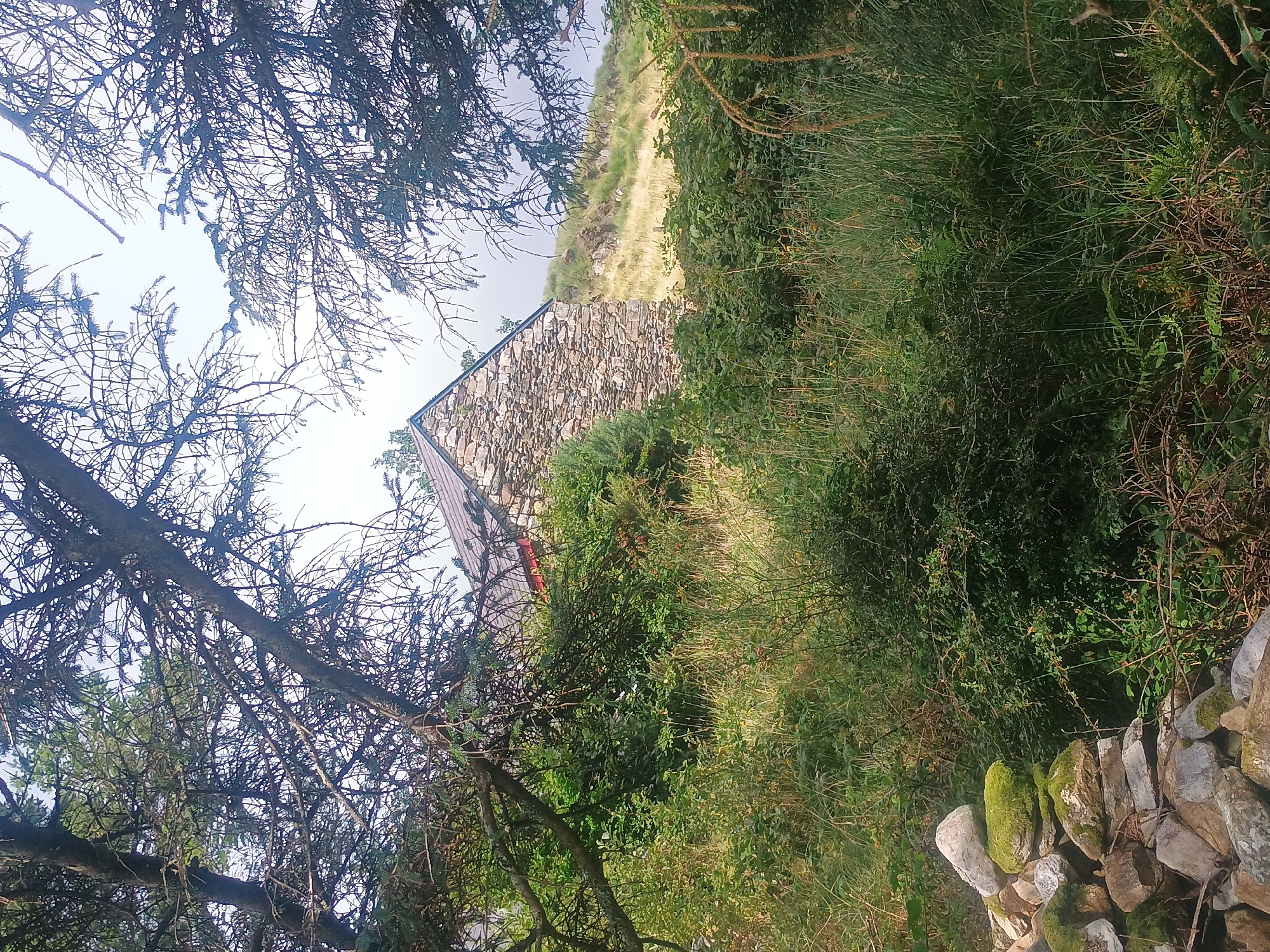 The image shows a stone building with a red roof, partially obscured by trees and vegetation. The building is made of rough-hewn stones and has a steeply pitched roof. It is situated on a hillside covered in tall grass and bushes. In the foreground, there is a pile of rocks, some of which are covered in moss. The overall impression is of a rustic, abandoned structure in a natural setting.