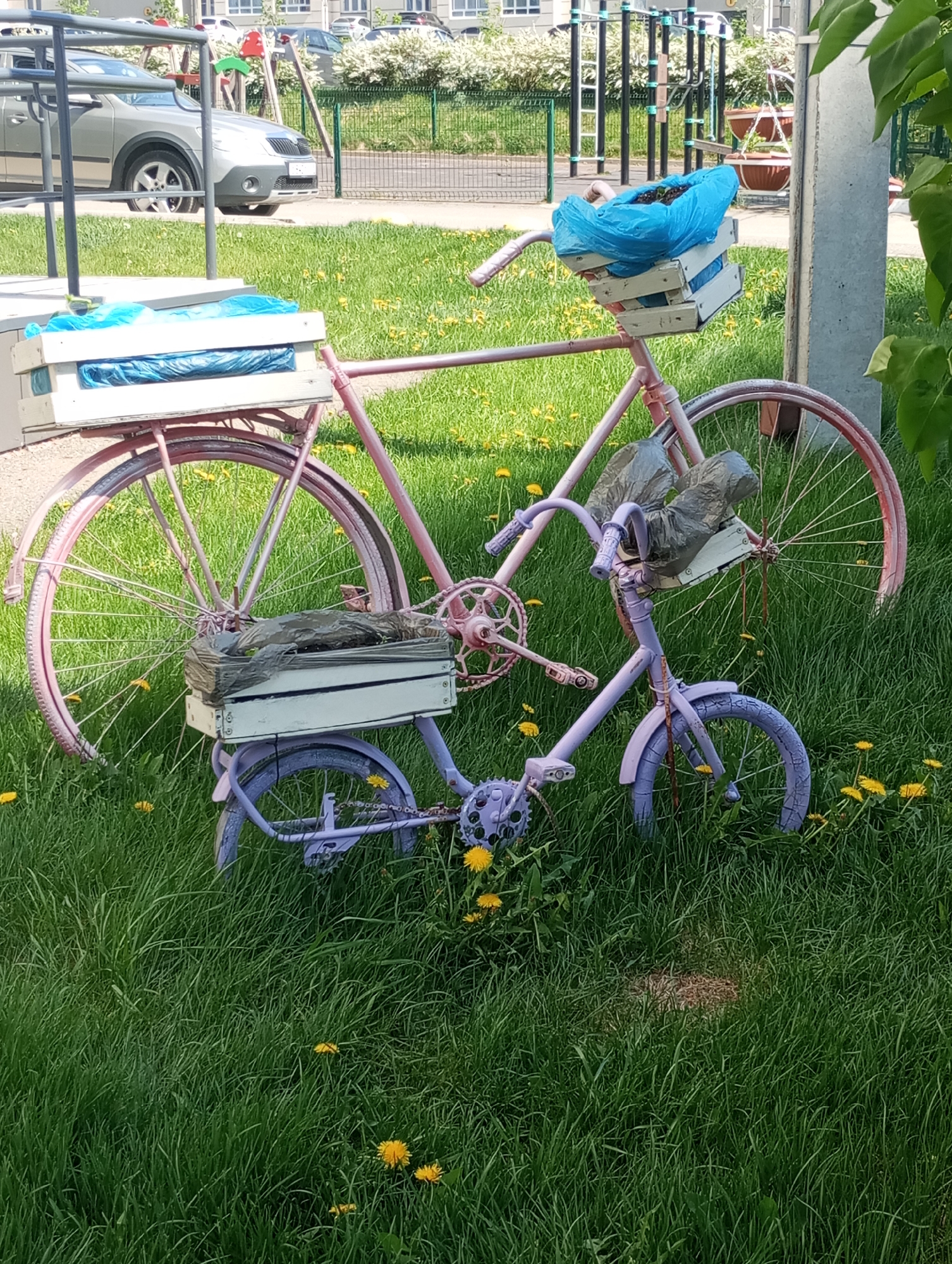 A pink adult bicycle and a purple child's bicycle are positioned in a grassy area with dandelions. The bicycles are adorned with white wooden crates, one on the front, one on the back of the adult bike, and one on the front of the child's bike. The crates appear to contain blue and gray plastic bags. The location appears to be in Izhevsk, Russia, based on the presence of buildings and automobiles typical of the area.