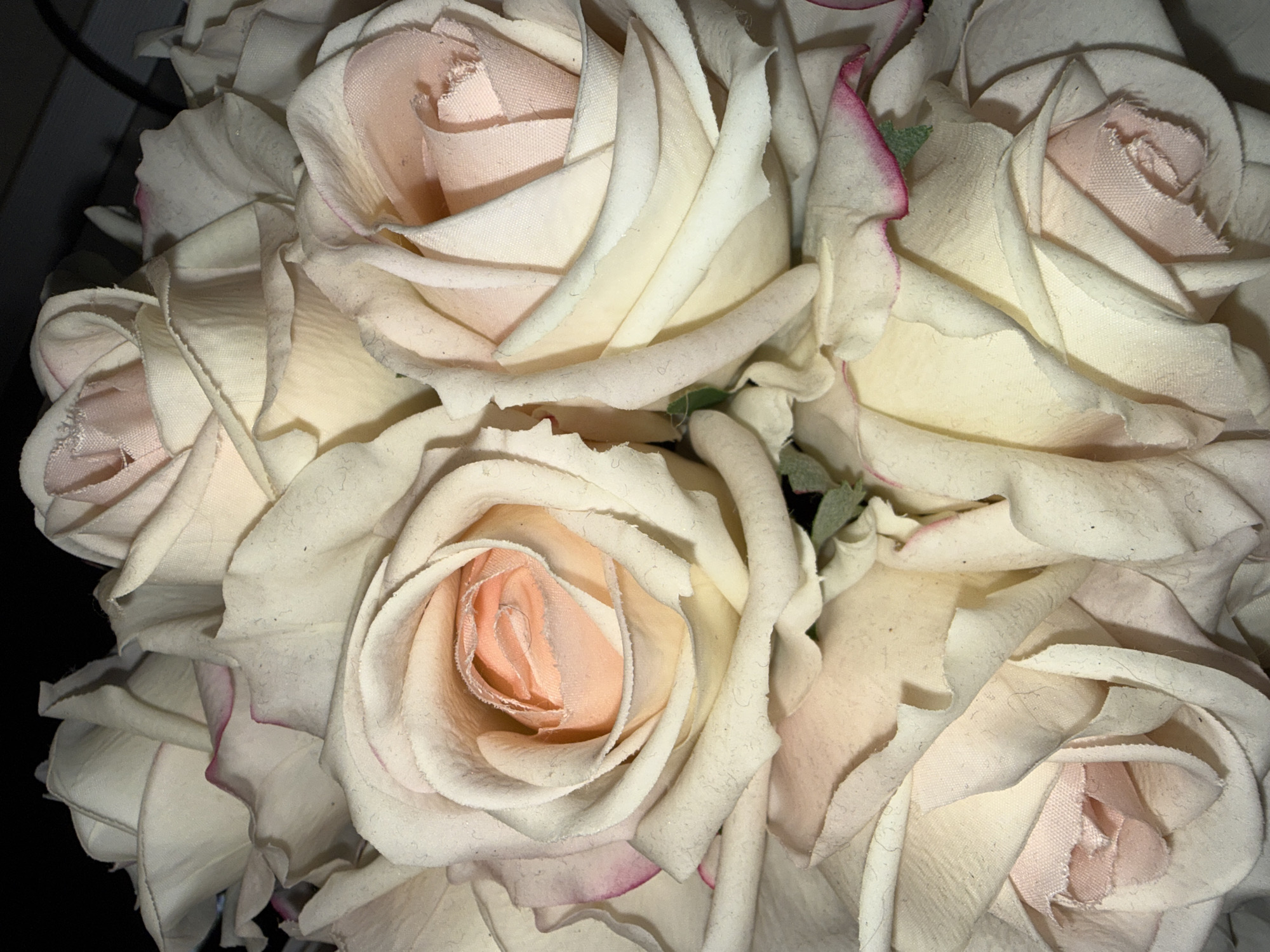 This close-up image displays a tightly packed arrangement of artificial roses, presenting a dense, textural composition. The flowers feature numerous overlapping petals, primarily in off-white or cream tones for the outer layers, which exhibit a soft, fabric-like texture with visible fine fibers, suggesting a slightly worn or delicate feel. Many outer petals also show subtle hints of dark pink or magenta along their edges. The inner, more central petals of each rose are a delicate, soft pink or peach hue, forming a distinct spiral pattern within the bloom's core. Small specks of muted green are occasionally visible between some of the flowers, likely representing leaves or sepals. The lighting, appearing artificial, highlights the intricate details and texture of the petals and casts soft shadows, adding depth to the arrangement. The background is largely indistinct and dark, emphasizing the floral subjects. No activity or event is taking place, and no text is visible within the image. The scene is situated in Zvezditsa, Bulgaria, though this geographical context is not visually discernible from the image itself.