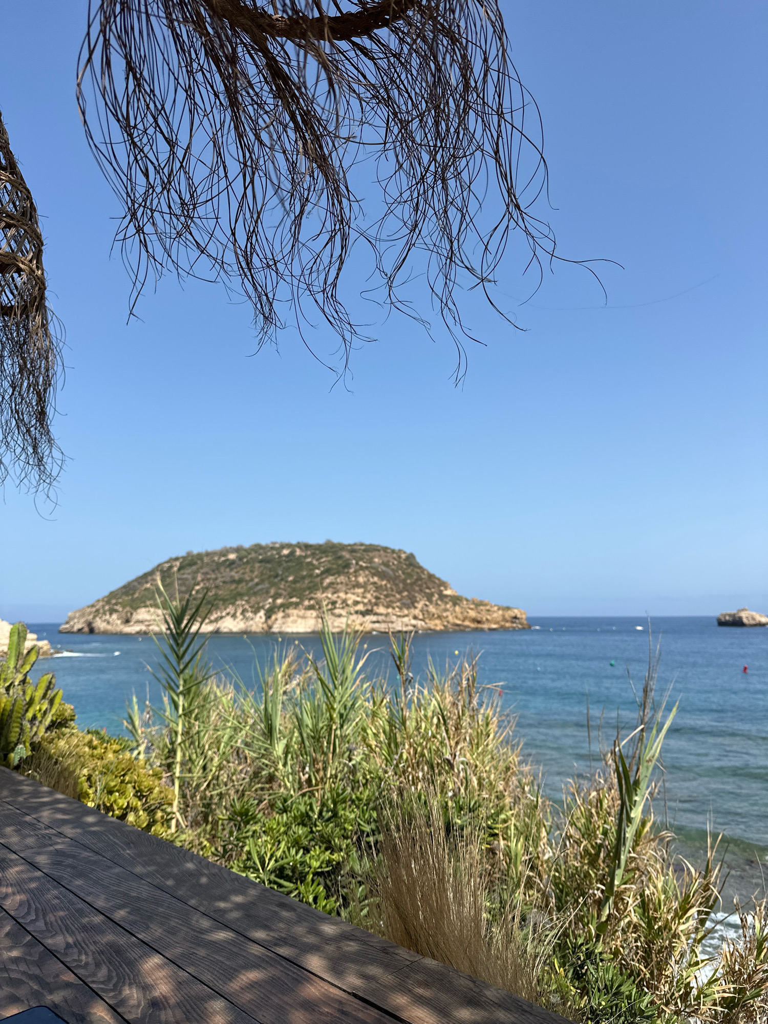 This image captures a coastal view in Xàbia / Jávea, Spain, featuring a prominent island in the background. The foreground is partially occupied by a dark wooden surface, possibly a deck or table, with dappled sunlight filtering through overhead foliage. Lush green vegetation, including tall grasses and succulents, lines the edge of this surface, leading the eye towards the sea. The sea itself is a vibrant blue, with gentle waves and several small boats visible. The island, covered in dense greenery, rises from the water, its rocky base contrasting with its verdant summit. The sky above is a clear, cloudless blue, indicating a sunny day. The overall scene evokes a sense of a tranquil seaside resort or a natural coastal landscape.