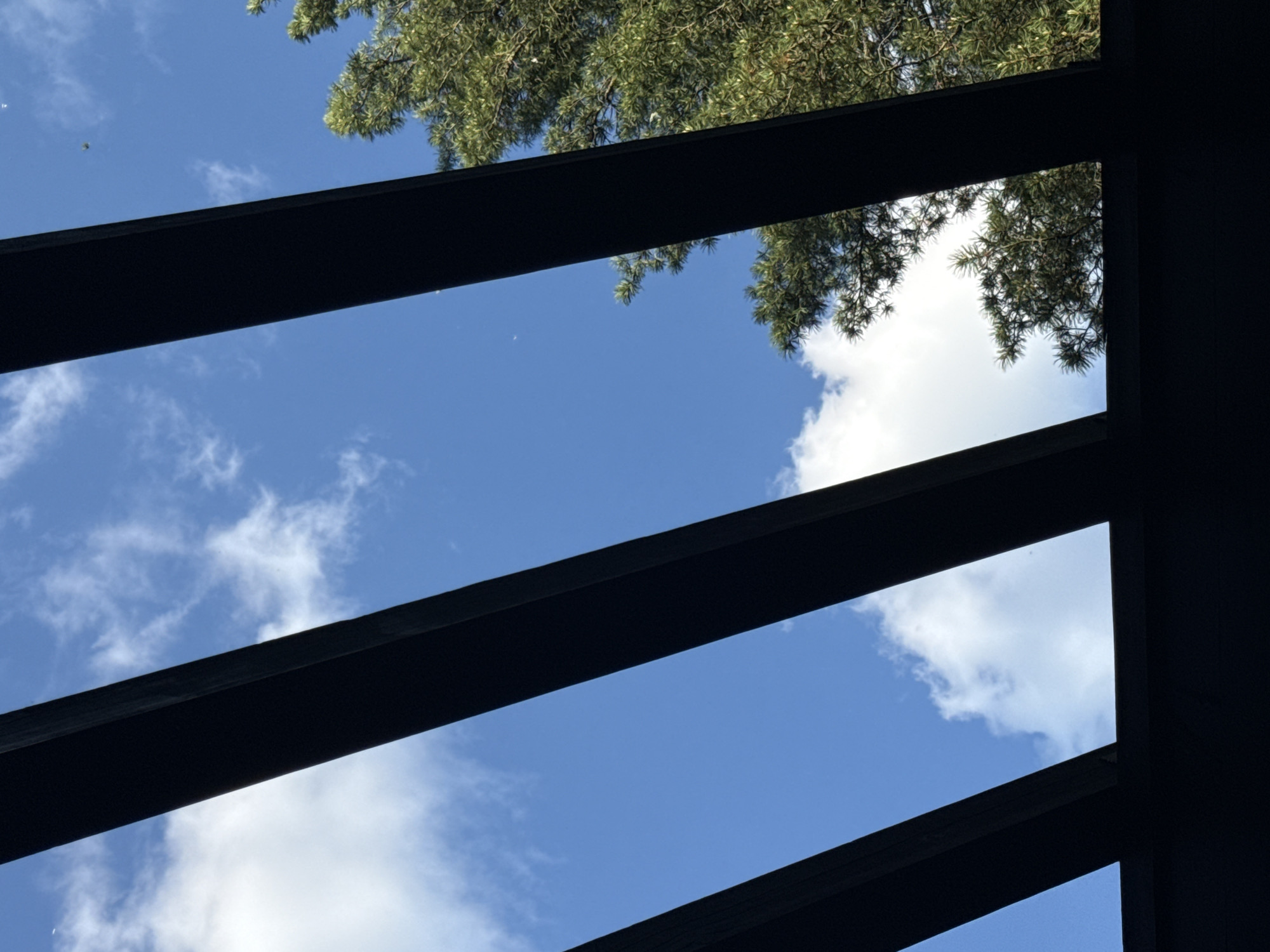 The image presents an upward view of a bright blue sky partially obscured by dark, rectilinear structural elements. These elements, appearing as horizontal and vertical beams, frame sections of the sky and some overhead foliage.
The primary subjects are the expansive blue sky and scattered white cumulus clouds, indicating a clear, sunny day. Sunlight brightly illuminates the clouds, giving them definition. Above the central and right portions of the image, green foliage from a tree is visible, suggesting it might be a conifer due to its needle-like appearance. This foliage is also lit by natural daylight.
The dark structural elements strongly suggest an overhead man-made construction such as a pergola, a slatted roof, or a similar outdoor covering, through which the sky and trees are observed. No activity or specific event is taking place; the image captures a static outdoor scene.
Notable details include the time of day being daytime, confirmed by the bright blue sky and sunlit clouds and foliage. The weather is clear and sunny with some cloud cover. There are no explicit location cues within the image itself to confirm the provided context of Urlu-Aspak, Russia, beyond it being an outdoor setting with trees. No text is visible in the media file.