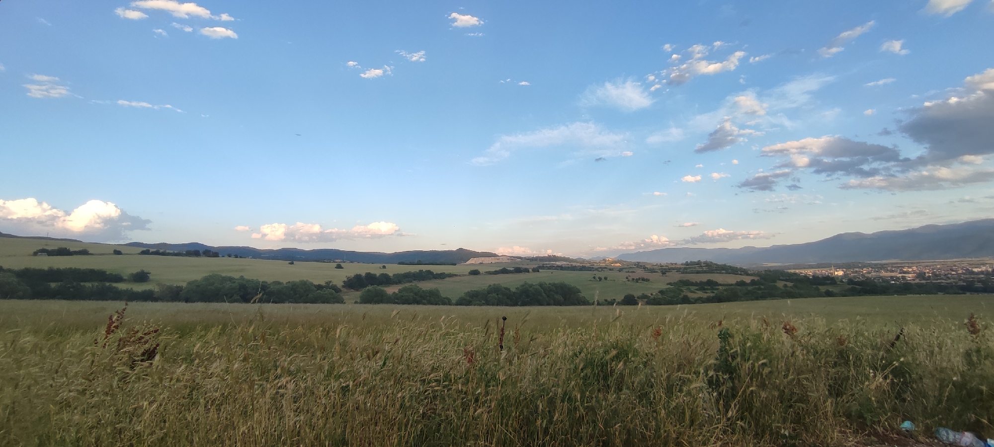 The image captures a panoramic view of a rural landscape near Momin Prohod, Bulgaria. In the foreground, tall, dry grasses and some sparse red foliage dominate the frame, suggesting a field or meadow. The middle ground features rolling green hills dotted with clusters of trees and some sparse vegetation. In the distance, a city or town is visible nestled at the base of a mountain range. The sky is a vibrant blue, with scattered white and gray clouds. The lighting suggests it is either early morning or late afternoon. There are no people or animals visible in the scene. The overall impression is one of a serene and natural environment.