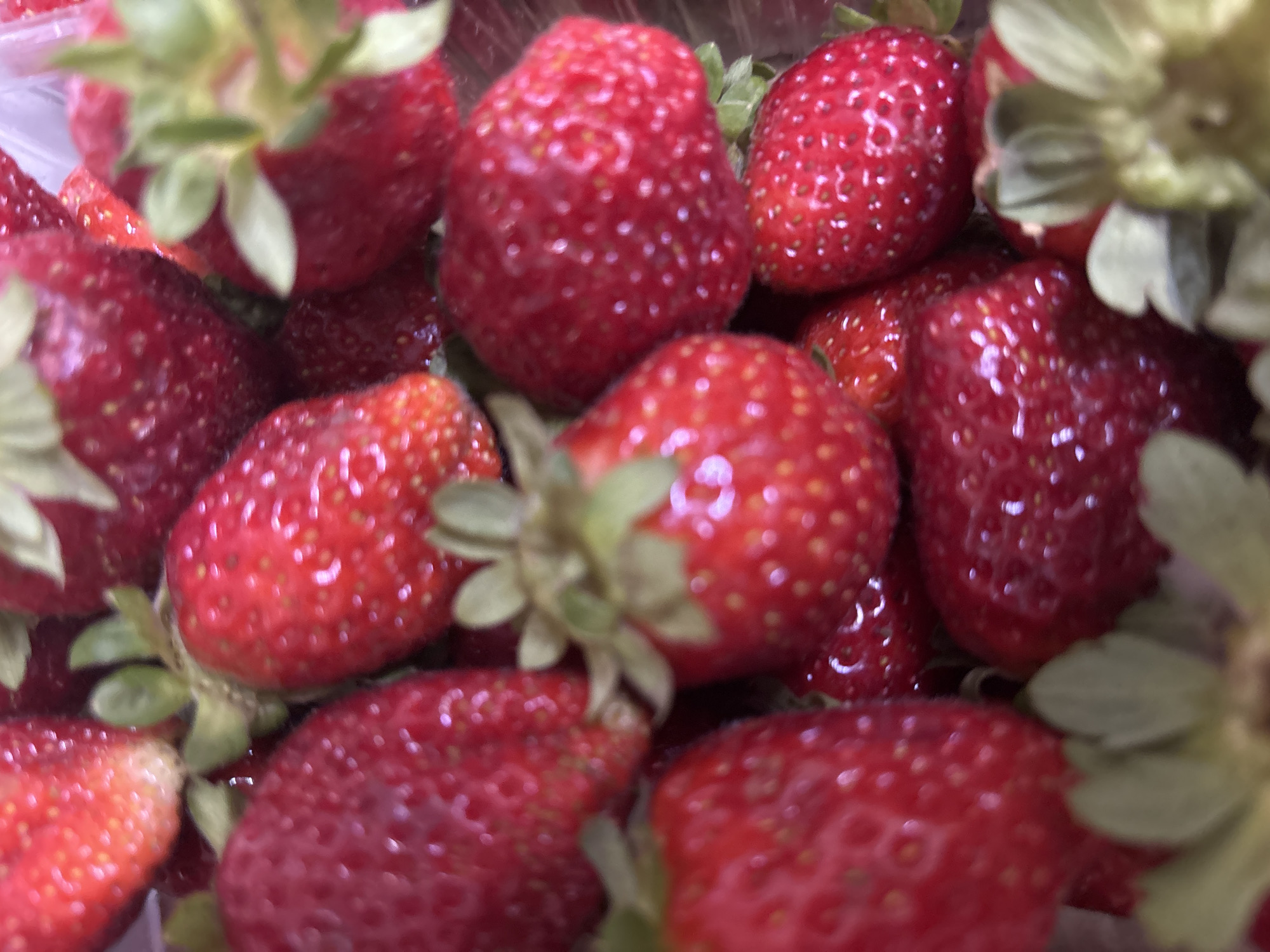 A close-up, overhead view shows a pile of ripe, red strawberries. The berries are glossy and have visible seeds on their surfaces. Some of the strawberries have green stems and leaves attached. The image is slightly blurred, giving a soft focus effect. There is no indication of the location being Zvenigorod, Russia.