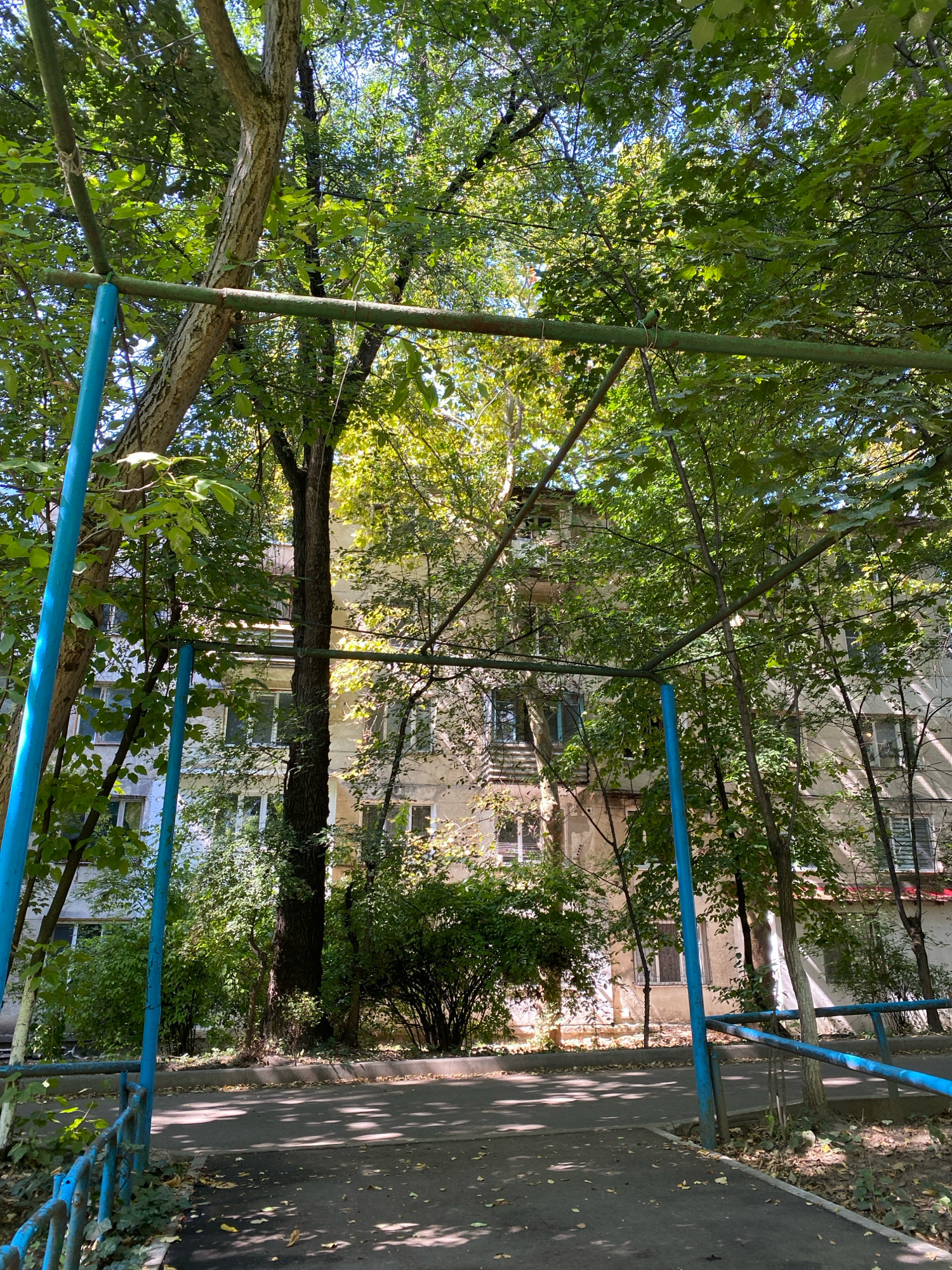 The image depicts a view of an apartment building in Chișinău, Moldova, framed by trees and a blue metal playground structure. The building appears to be several stories high with a light-colored facade and numerous windows. The trees are dense with green leaves, suggesting it is likely spring or summer. The ground is paved with asphalt and scattered with fallen leaves. The blue structure has vertical poles and horizontal bars, typical of a children's play area. Sunlight filters through the leaves, casting dappled shadows on the ground. There are no people visible in the image.