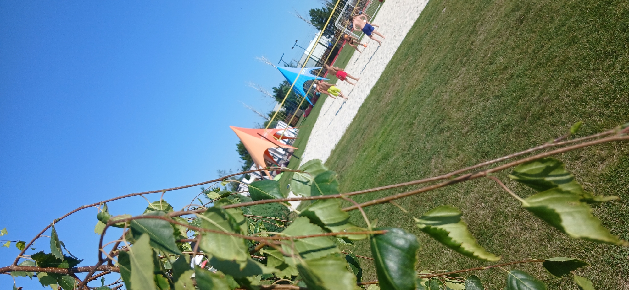 The image shows a beach volleyball court on a sunny day. The court is made of sand and is surrounded by grass. There is a volleyball net stretched across the court, and two tents in the background, one orange and one blue. Several people are playing volleyball on the court. In the foreground, there are branches and leaves of a tree, partially obscuring the view. The sky is clear and blue.