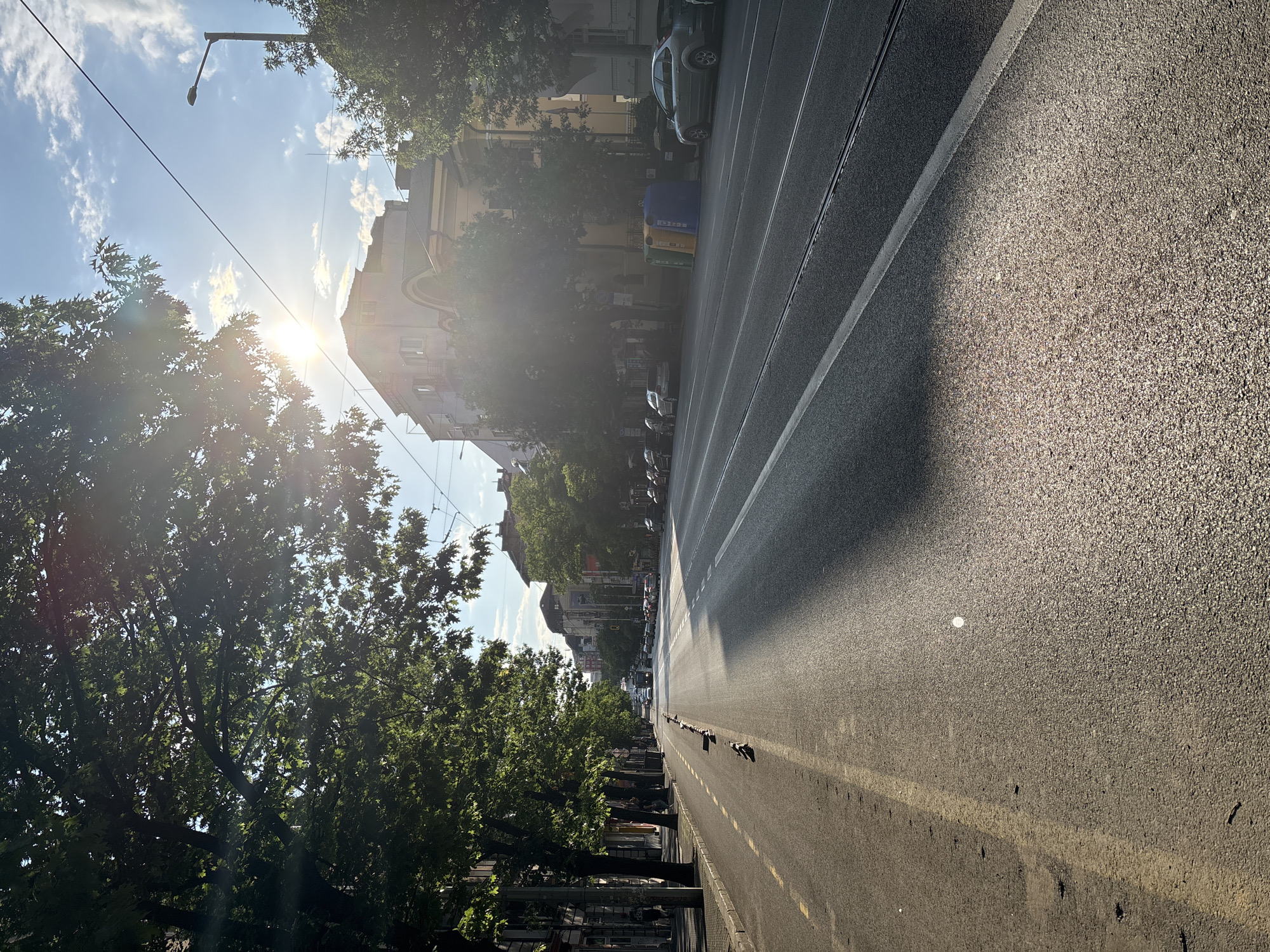 The image depicts a sun-drenched urban street scene in Sofia, Bulgaria. The perspective looks down a wide road, which is flanked by buildings and trees on both sides. The sun, low on the left side of the frame, casts a strong lens flare and long, distinct shadows across the asphalt road, indicating either early morning or late afternoon.
The road features visible tram tracks running parallel to the curb on the right side, along with a yellow dashed line in the center. A line of pigeons is notably perched along this yellow line in the mid-ground. Cars are parked along the right side of the street, and more vehicles are visible further down the road in the distance, suggesting typical city traffic. Two colorful recycling bins, one blue and one yellow/green, are visible near the parked cars on the right.
On the left side of the road, a dense line of mature green trees borders a sidewalk, partially obscuring the lower facades of multi-story buildings behind them. A streetlamp and a network of overhead power lines are visible against the bright, clear blue sky, which contains scattered white clouds. The architecture of the buildings suggests a European urban setting. The overall scene conveys a peaceful, everyday moment in the city. There is no clearly discernible text visible in the image.
