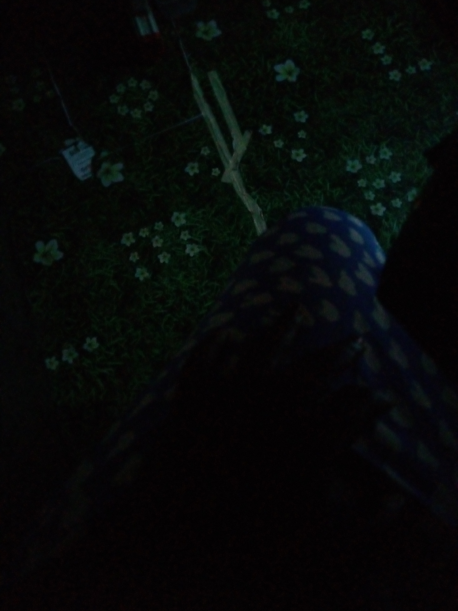 A person, mostly obscured by darkness and a blanket or fabric with a blue and yellow pattern, is partially visible in the foreground. The fabric is draped over what appears to be legs. The background depicts a dark, grassy area illuminated with faint, scattered white flowers and some vertical, pale green objects that could be plants or decorations. The setting is dark, with the lighting focusing on the patterned fabric and the illuminated elements in the background. There is no clear indication of a specific location within Jalingo, Nigeria, based on the visual information provided.
